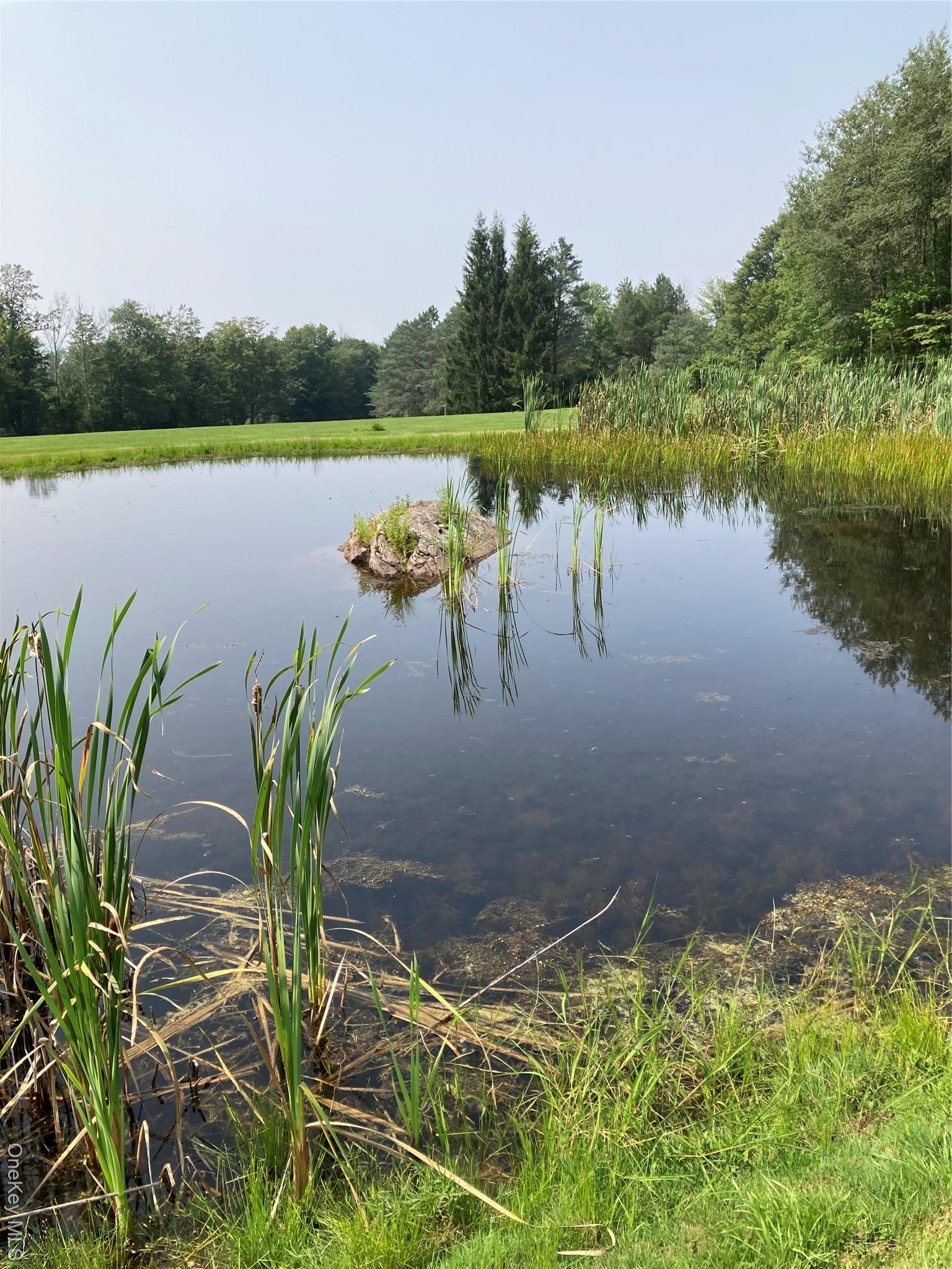 Single Family Rose Road  Sullivan County, NY 12788, MLS-896939-29