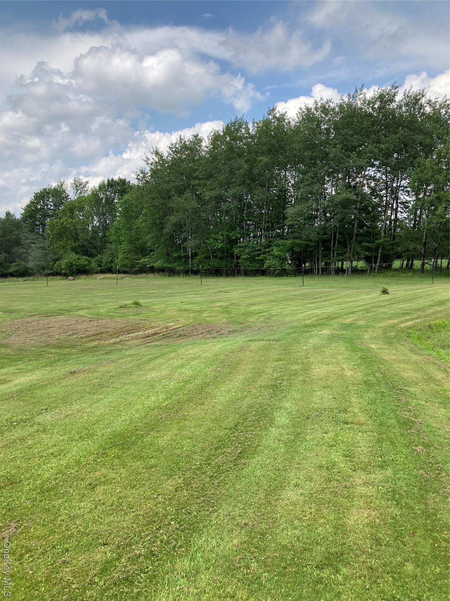 Single Family Rose Road  Sullivan County, NY 12788, MLS-896939-3