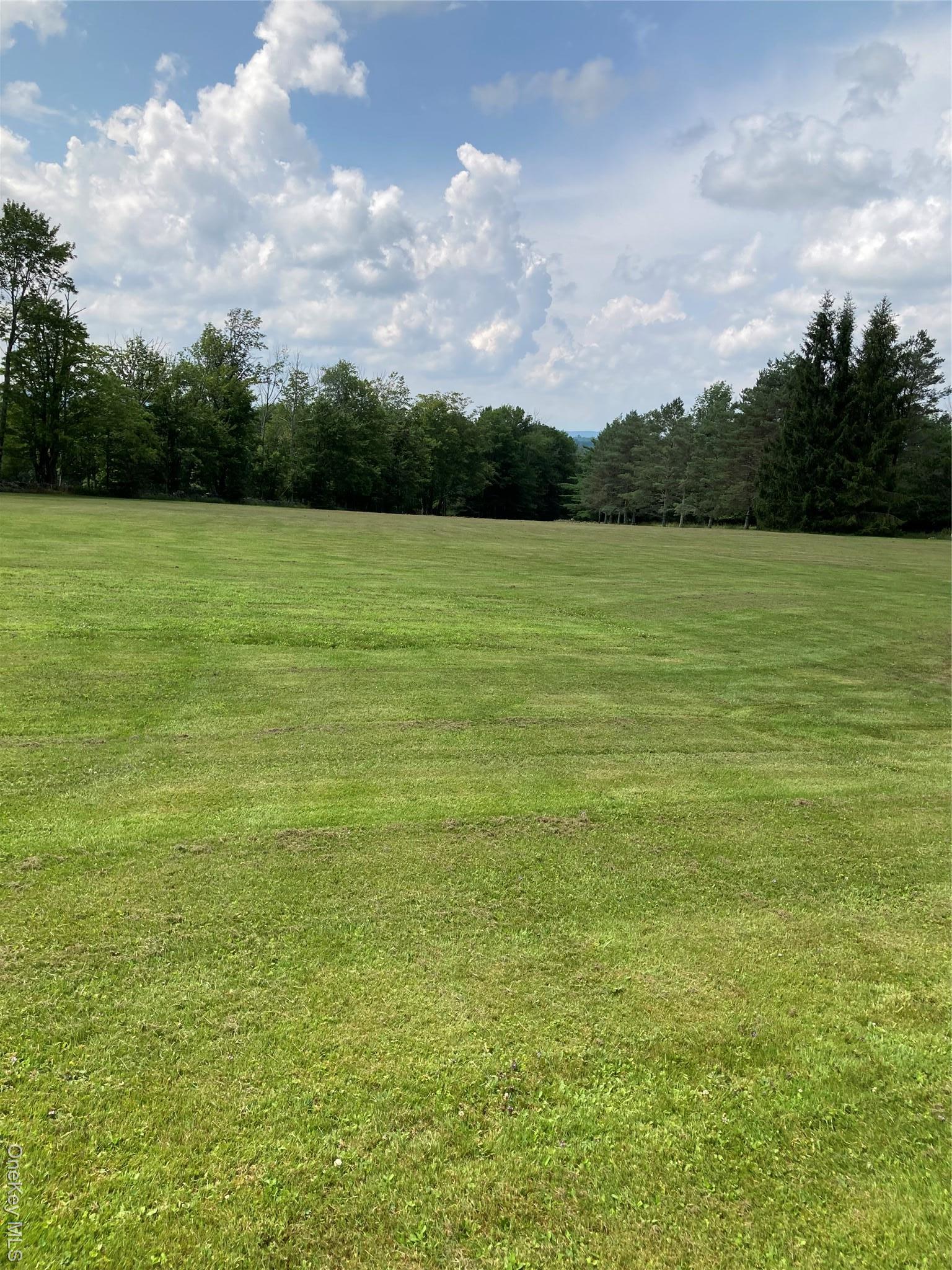 Single Family Rose Road  Sullivan County, NY 12788, MLS-896939-4