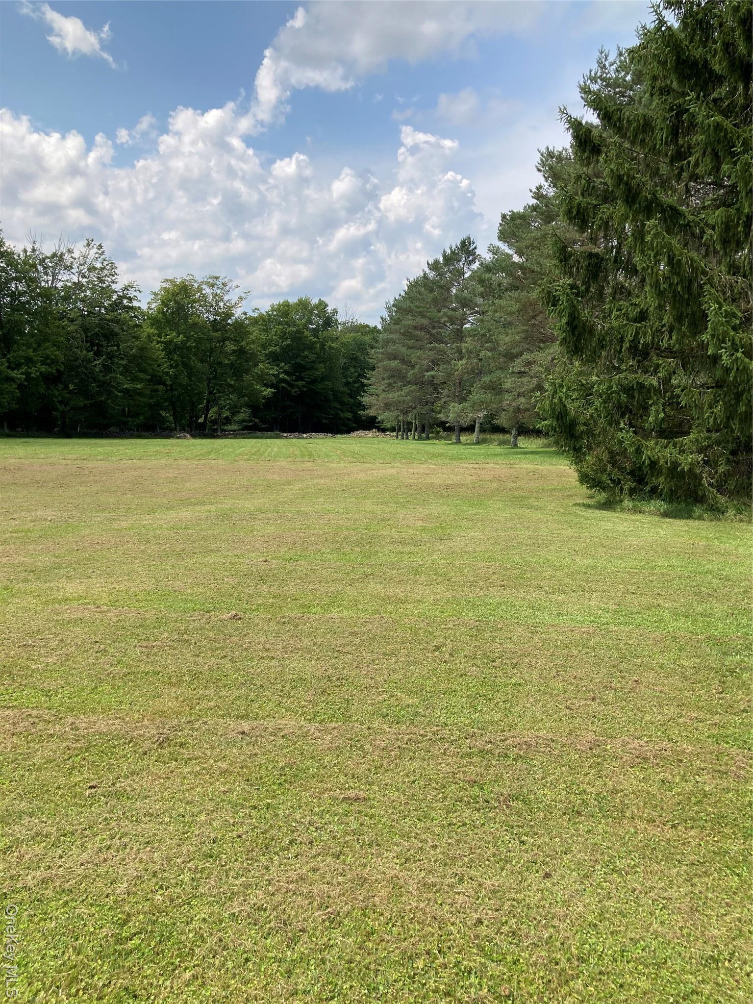 Single Family Rose Road  Sullivan County, NY 12788, MLS-896939-5