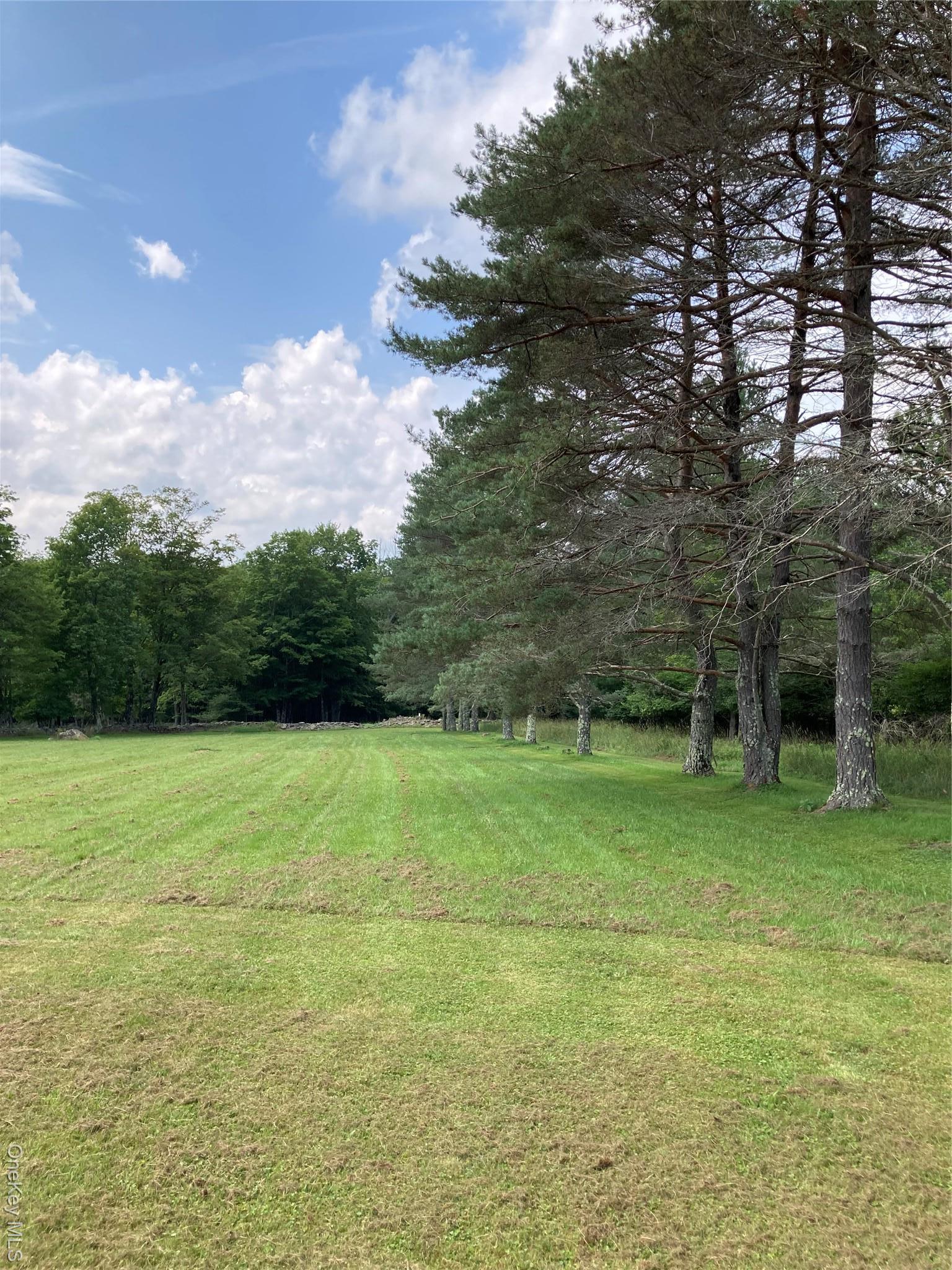 Single Family Rose Road  Sullivan County, NY 12788, MLS-896939-7