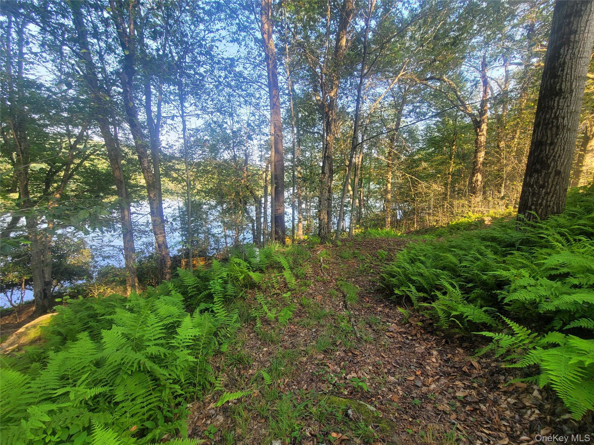 Single Family Shore  Sullivan County, NY 12783, MLS-896964-8