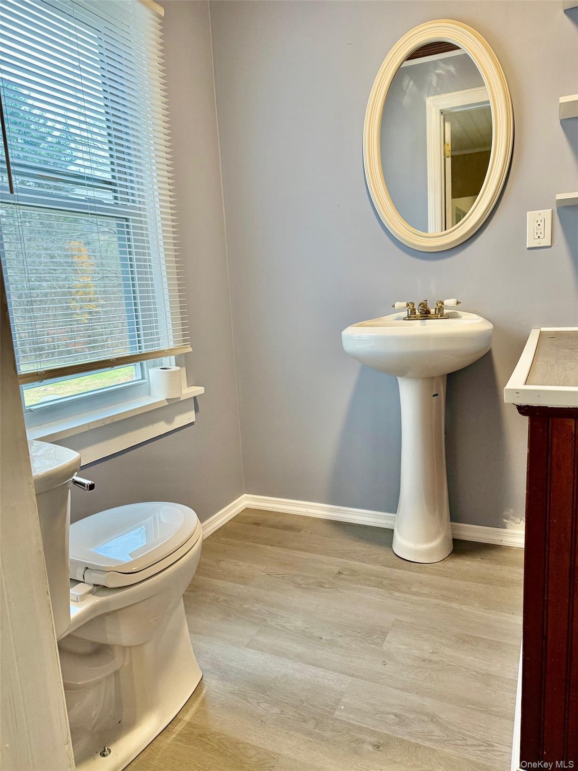 Single Family Phillipsport Sullivan County, NY 12790, MLS-896975-16