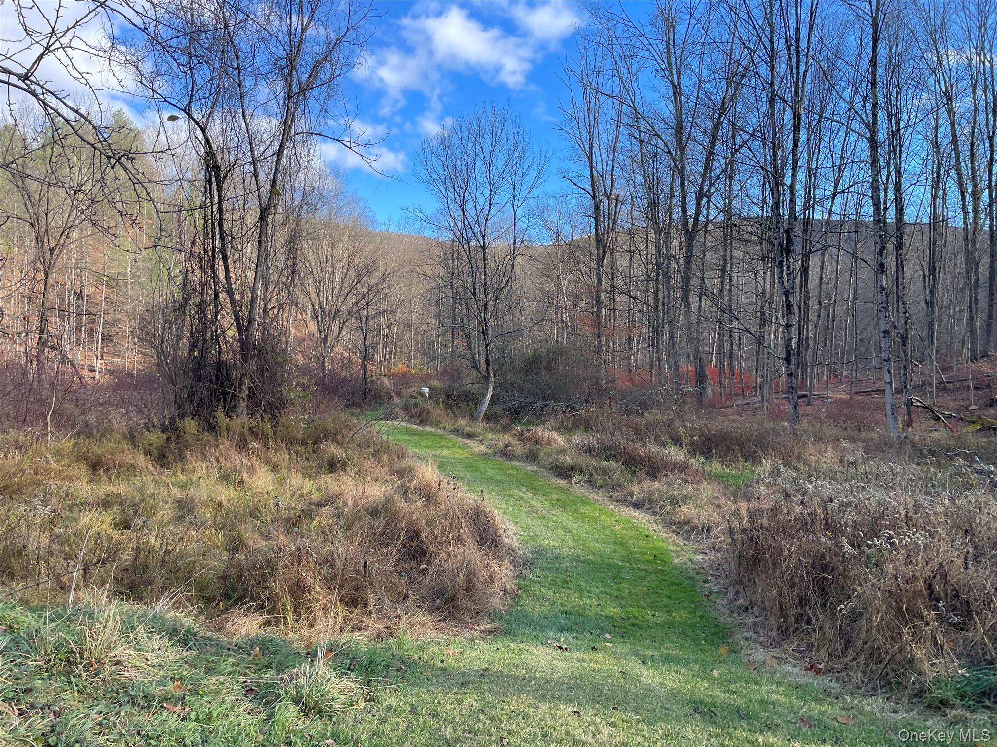 Single Family Phillipsport Sullivan County, NY 12790, MLS-896975-30