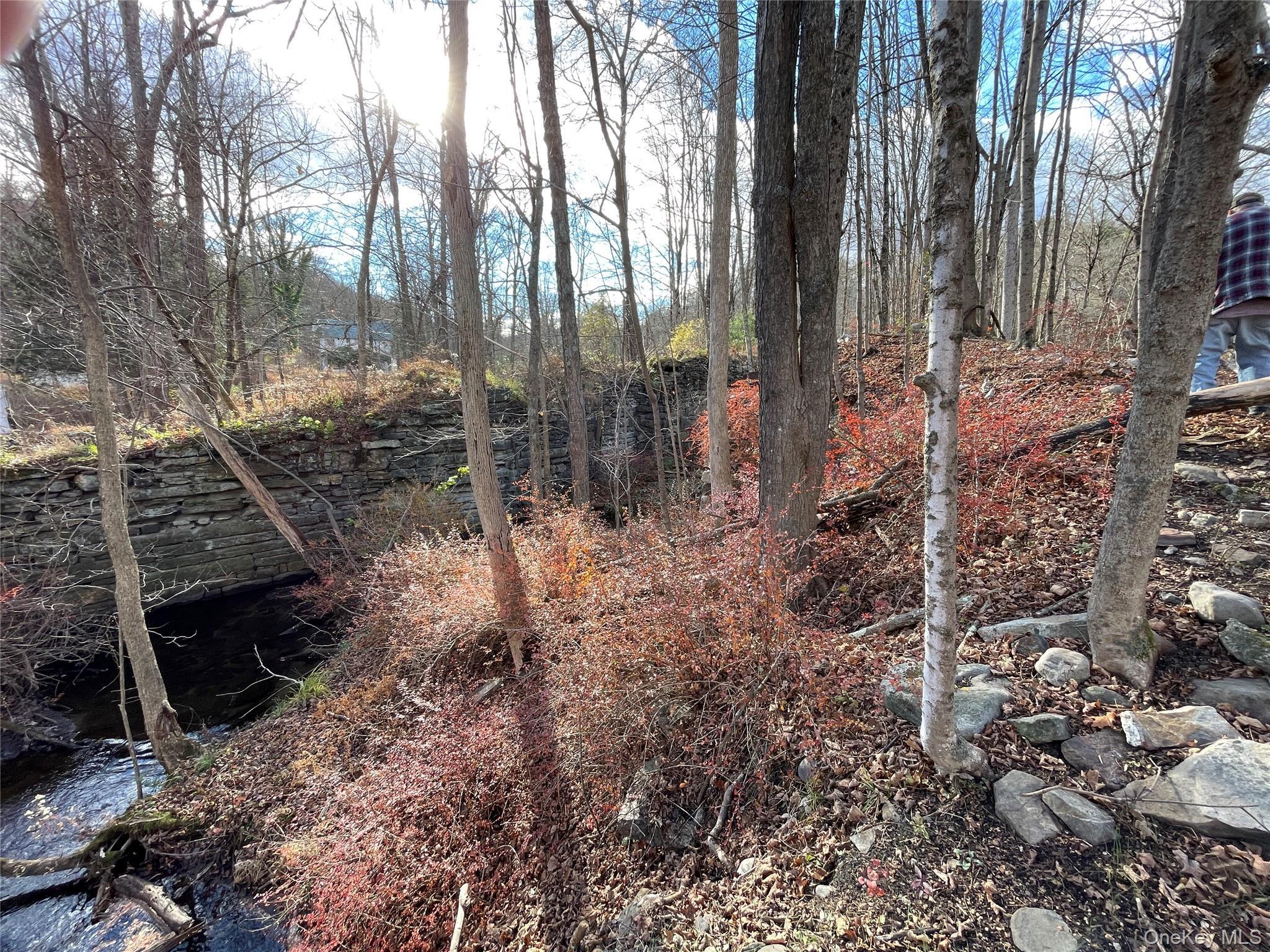 Single Family Phillipsport Sullivan County, NY 12790, MLS-896975-34