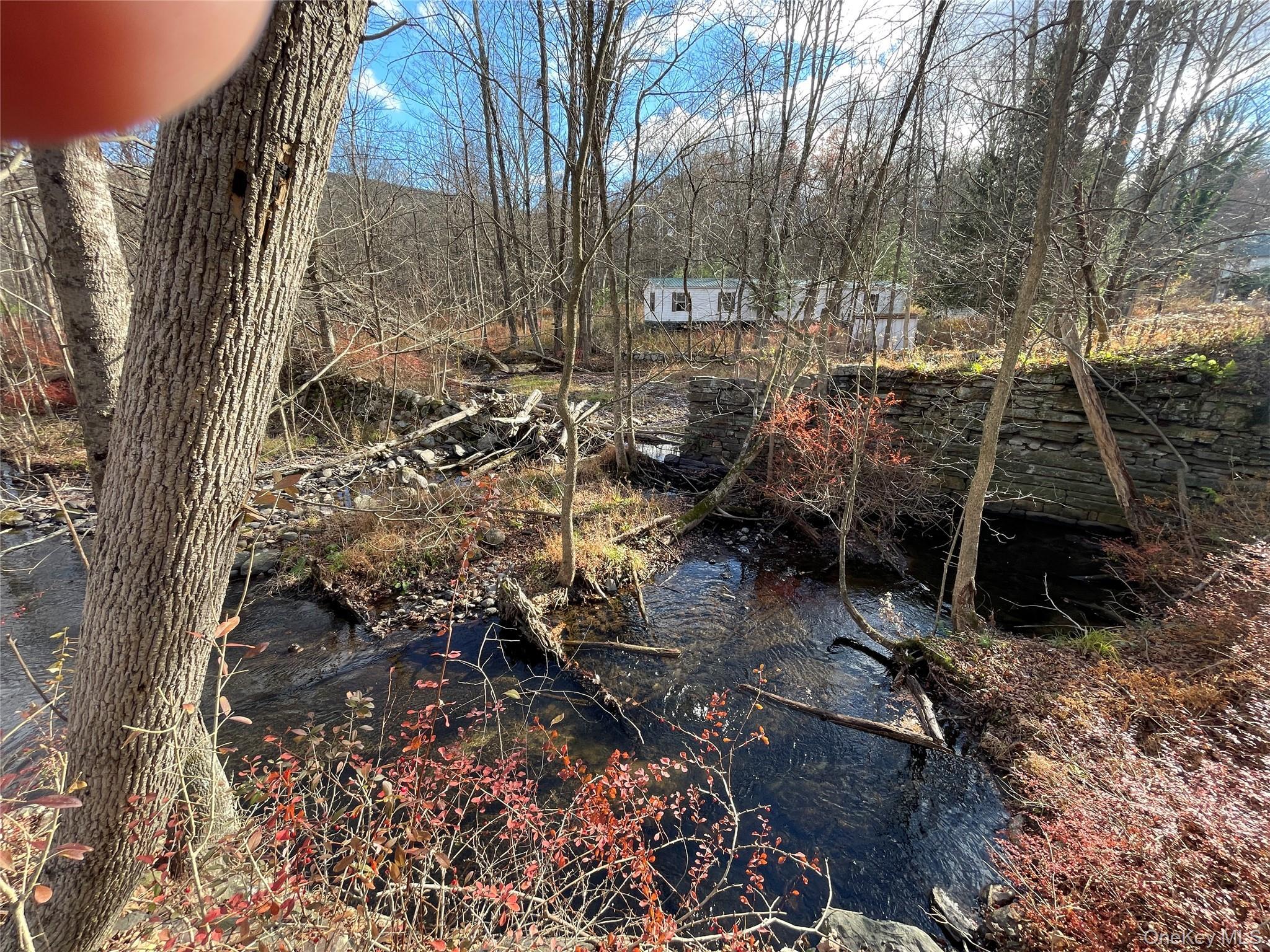 Single Family Phillipsport Sullivan County, NY 12790, MLS-896975-35