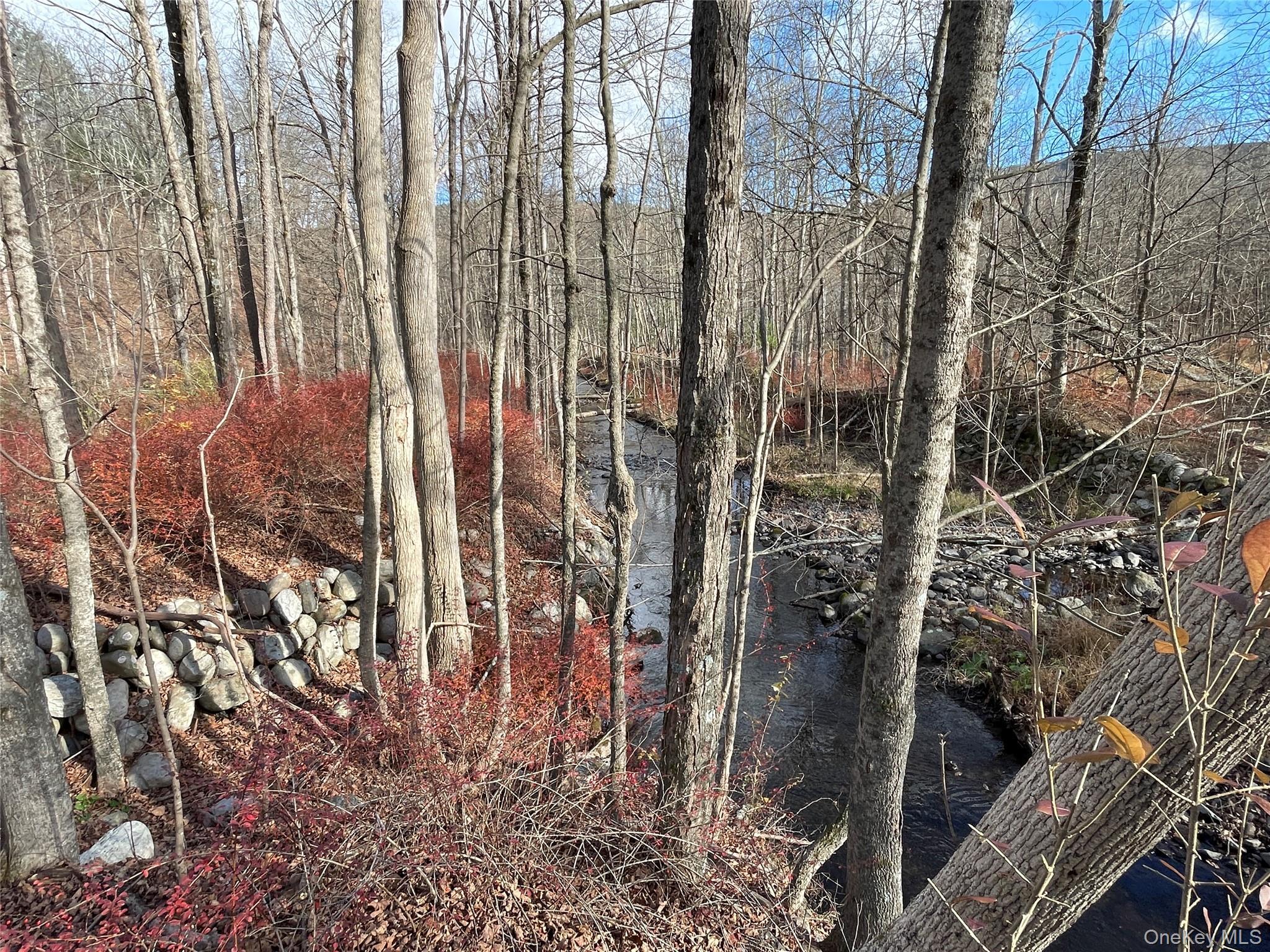 Single Family Phillipsport Sullivan County, NY 12790, MLS-896975-36