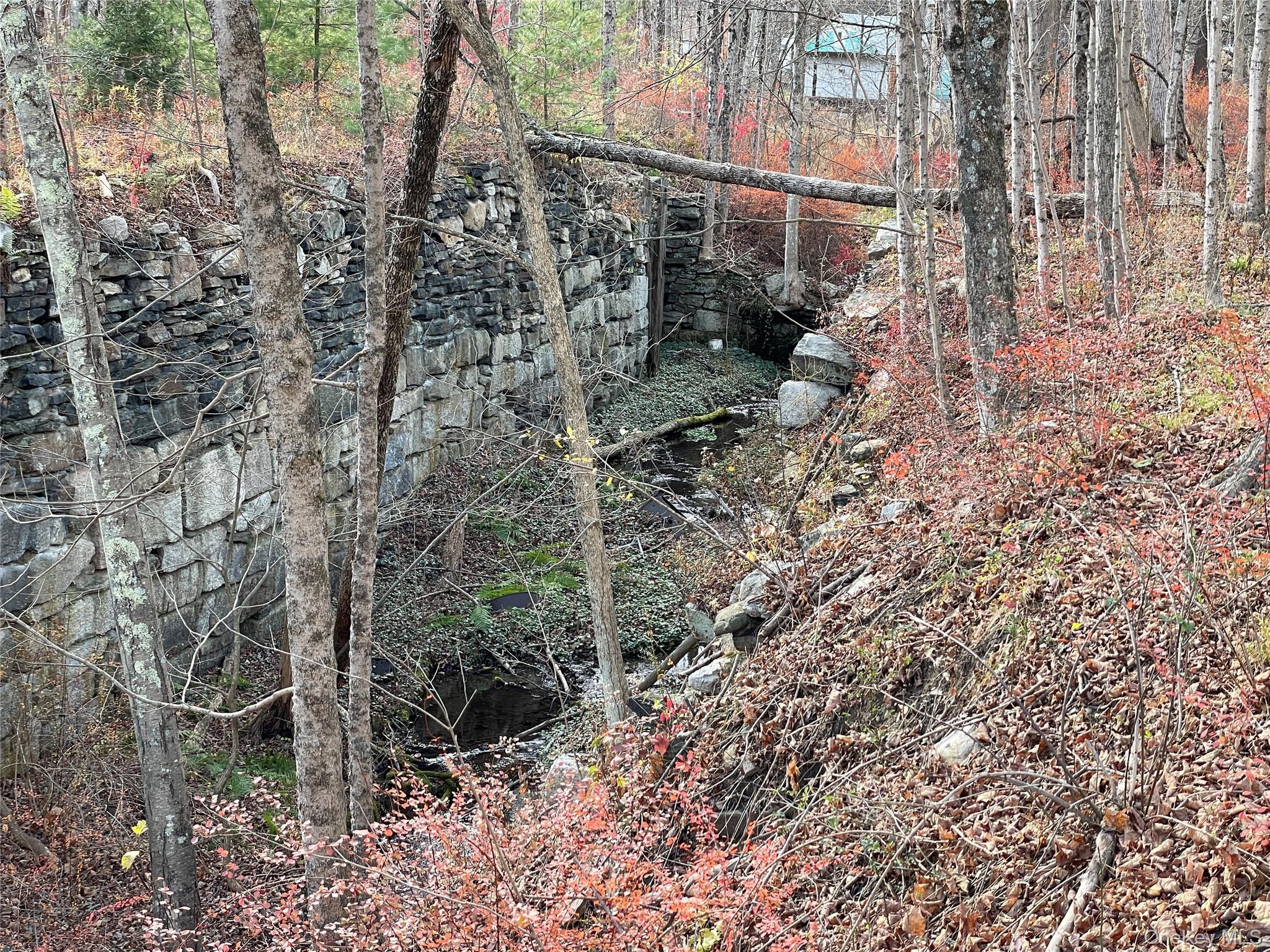 Single Family Phillipsport Sullivan County, NY 12790, MLS-896975-37