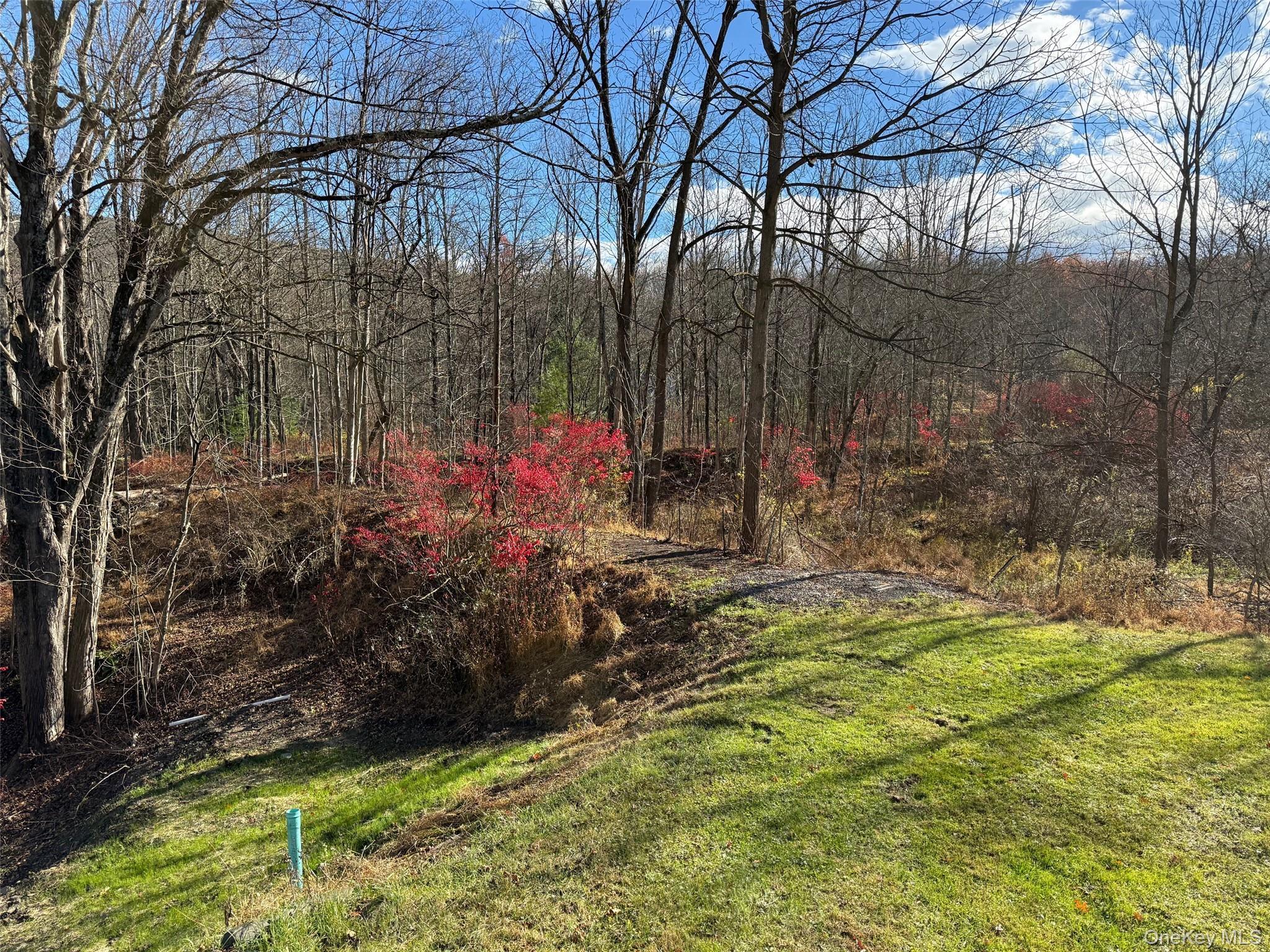 Single Family Phillipsport Sullivan County, NY 12790, MLS-896975-41