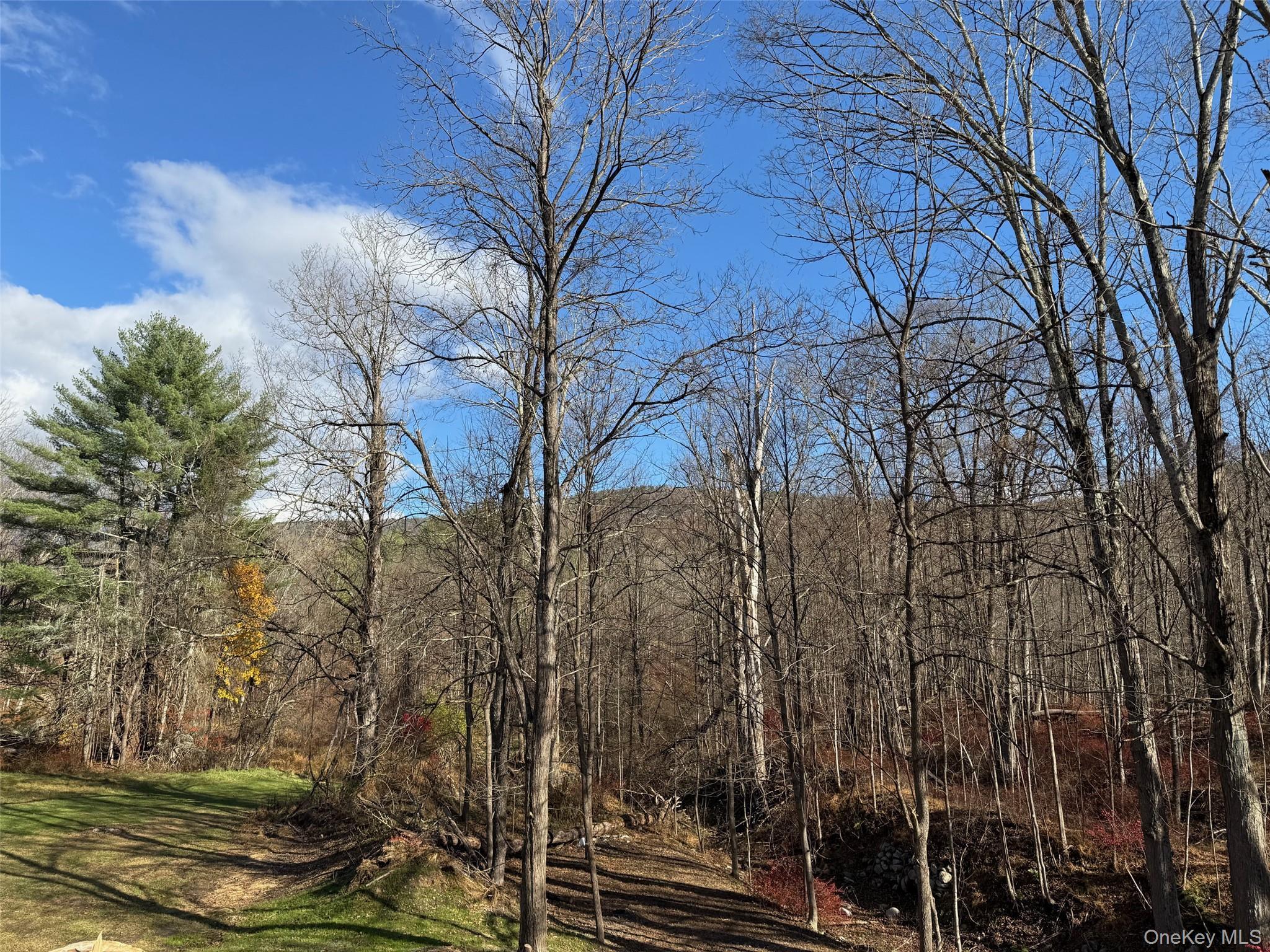 Single Family Phillipsport Sullivan County, NY 12790, MLS-896975-42