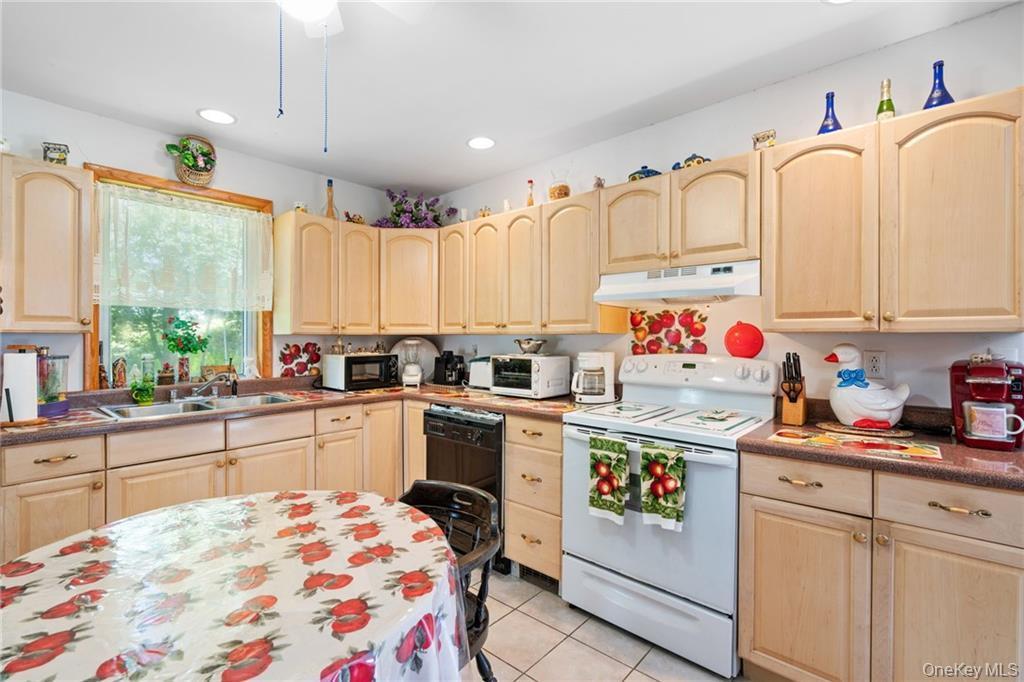 Single Family Leonardo Sullivan County, NY 12701, MLS-897054-2