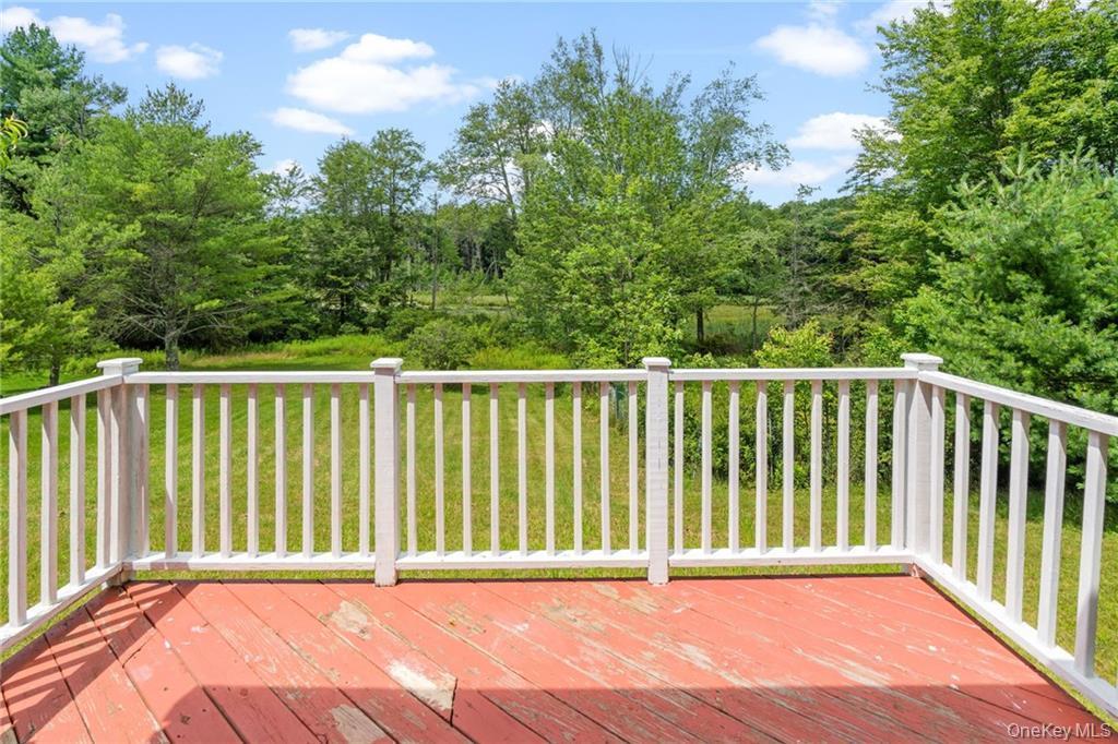 Single Family Leonardo Sullivan County, NY 12701, MLS-897054-27