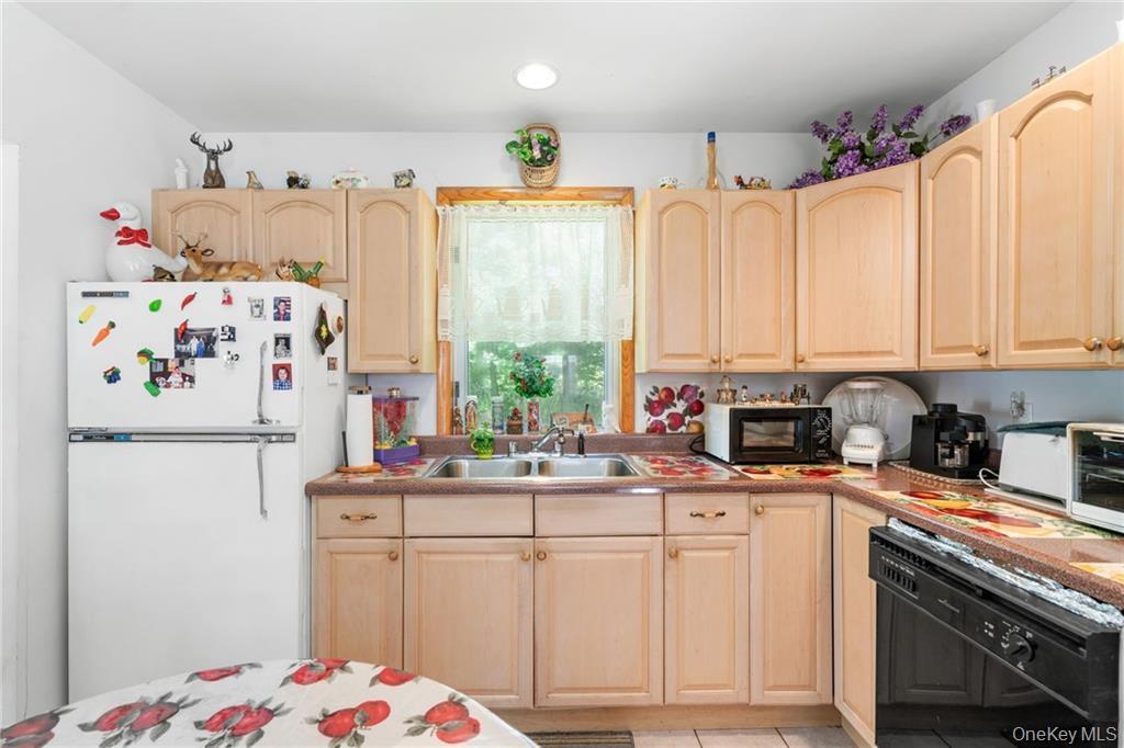 Single Family Leonardo Sullivan County, NY 12701, MLS-897054-3