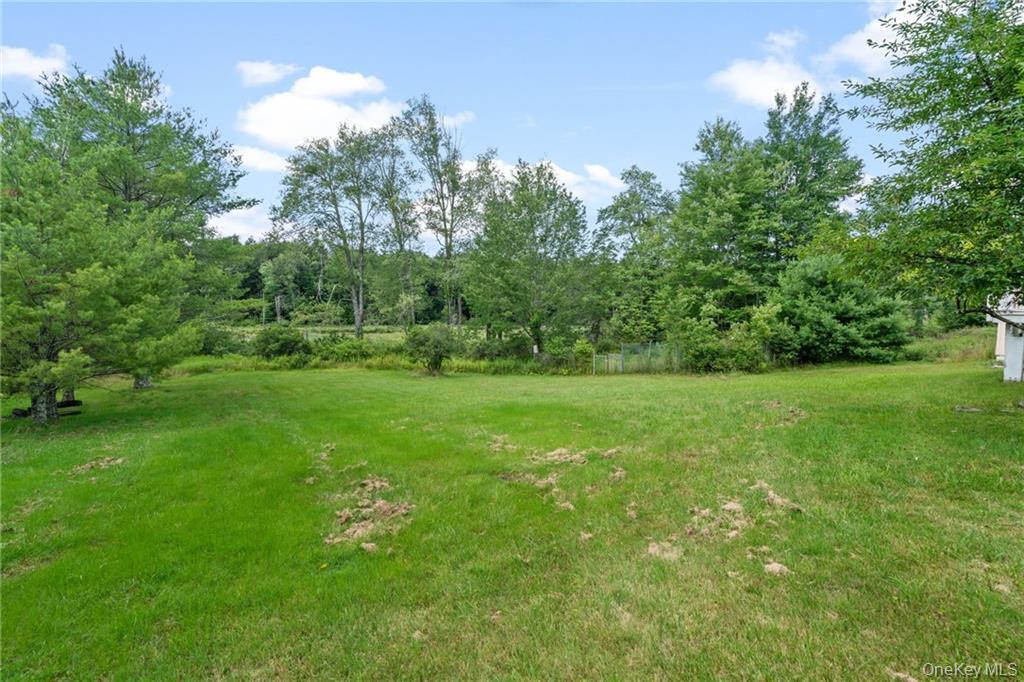 Single Family Leonardo Sullivan County, NY 12701, MLS-897054-33