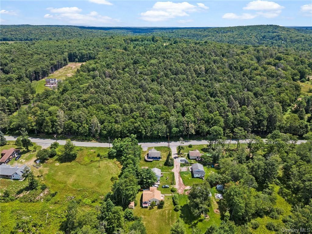 Single Family Leonardo  Sullivan County, NY 12701, MLS-897054-36