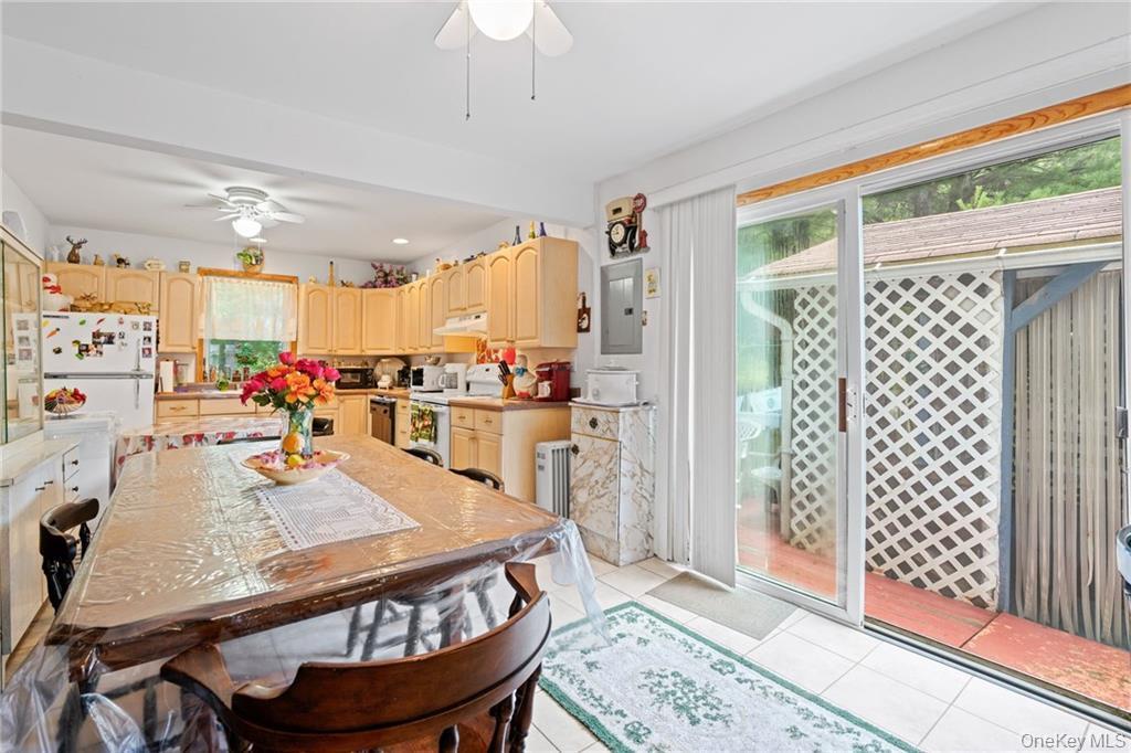 Single Family Leonardo Sullivan County, NY 12701, MLS-897054-9