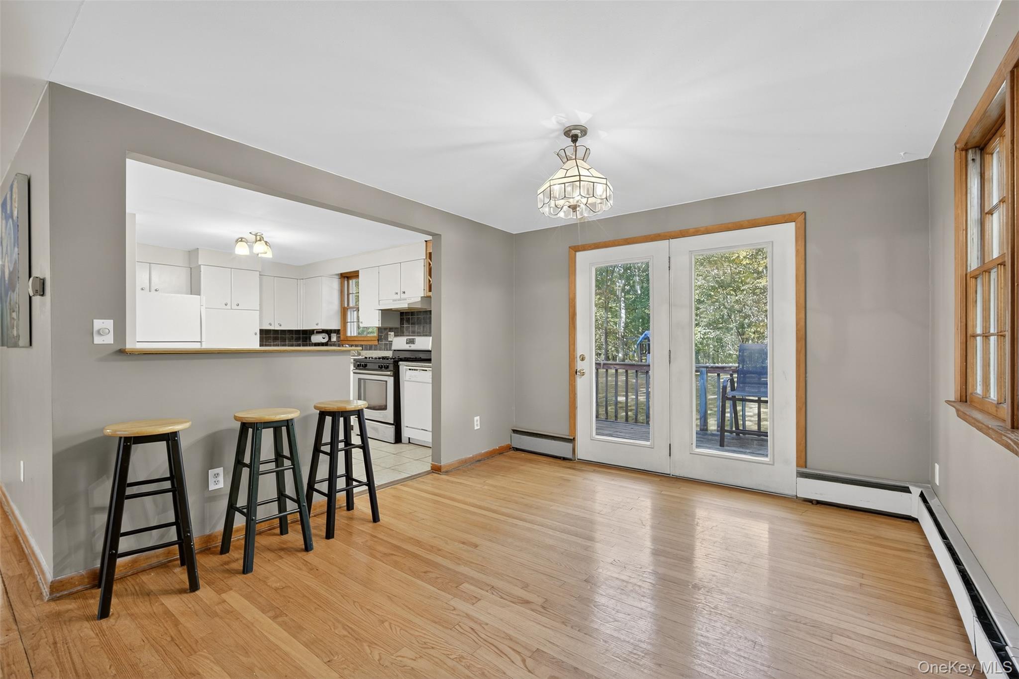 Single Family Martin  Dutchess County, NY 12540, MLS-897124-10