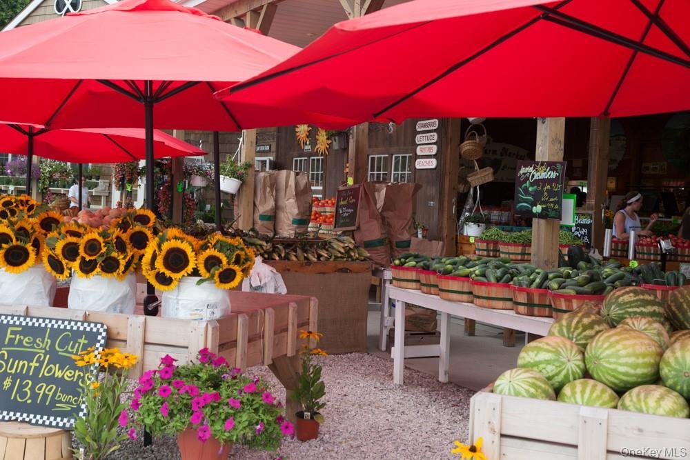 Single Family Skunk  Suffolk County, NY 11935, MLS-897165-41