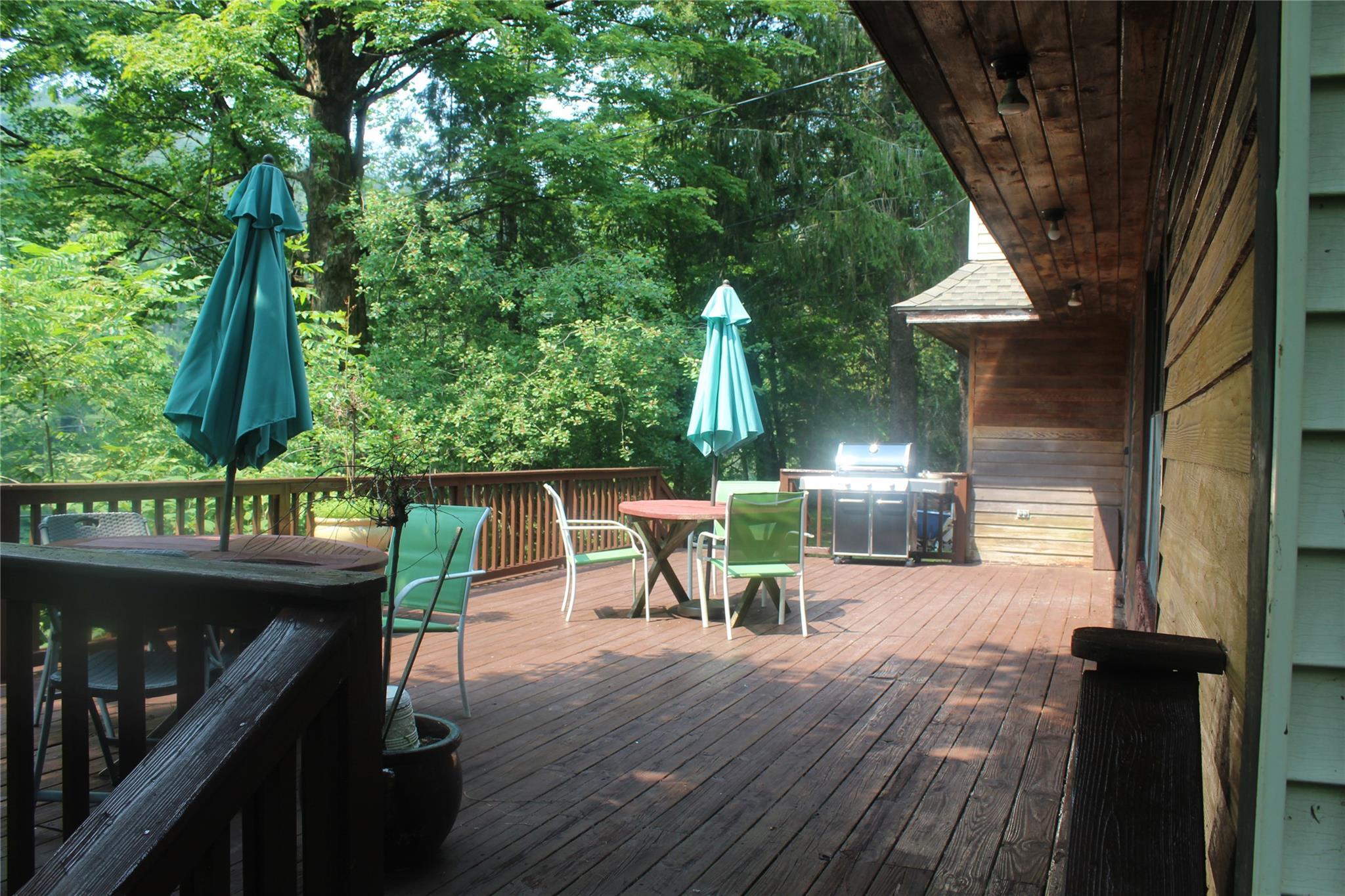 Single Family Cooks Falls Delaware County, NY 12776, MLS-897203-6