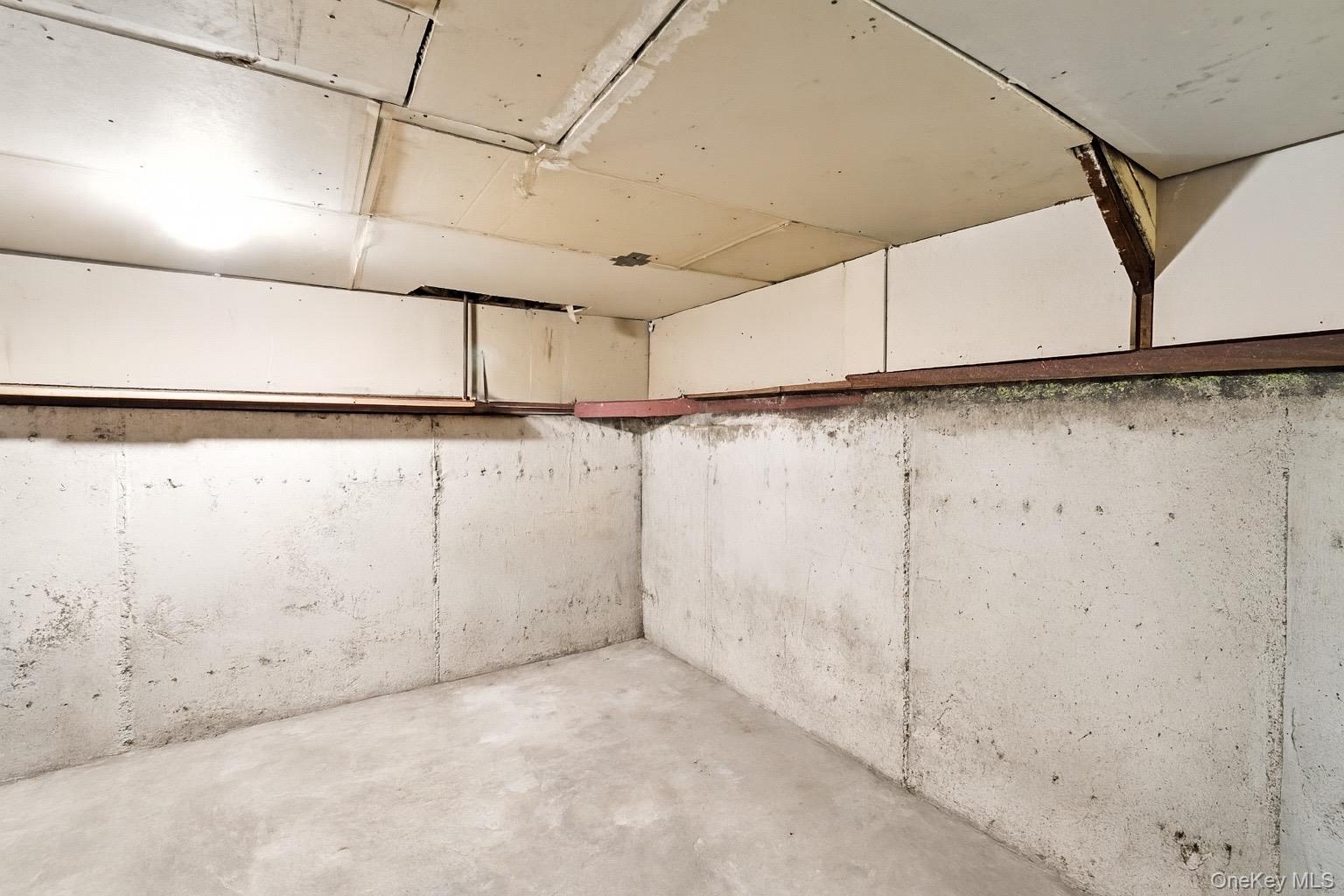 Single Family Tree  Suffolk County, NY 11722, MLS-897250-12