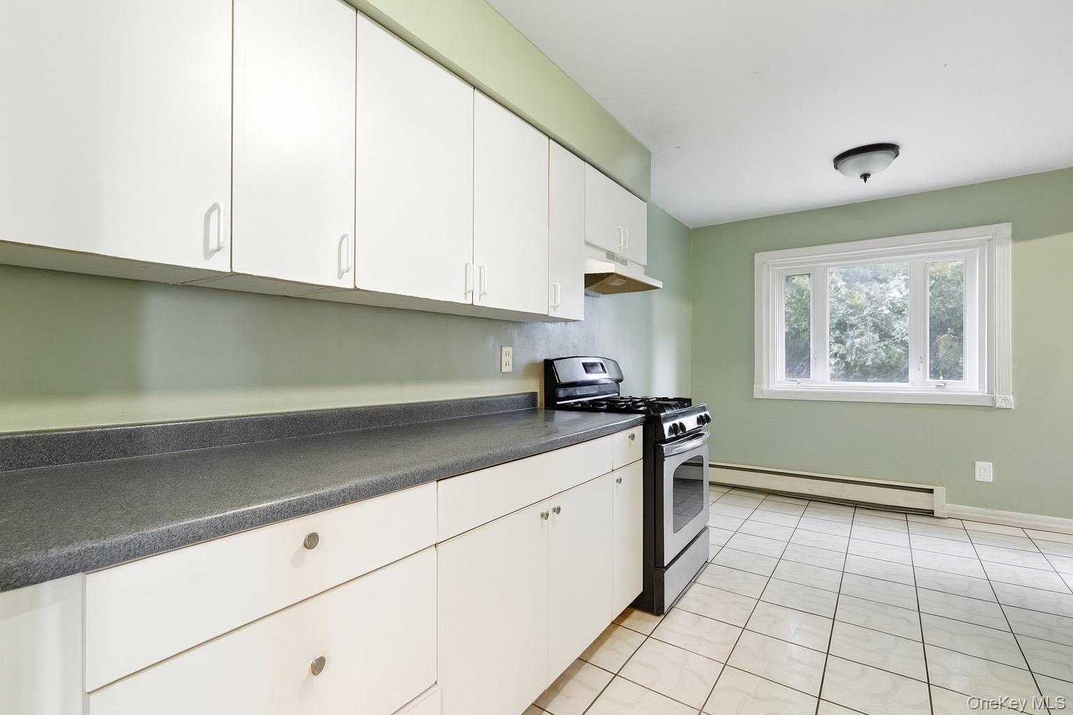 Single Family Tree  Suffolk County, NY 11722, MLS-897250-13