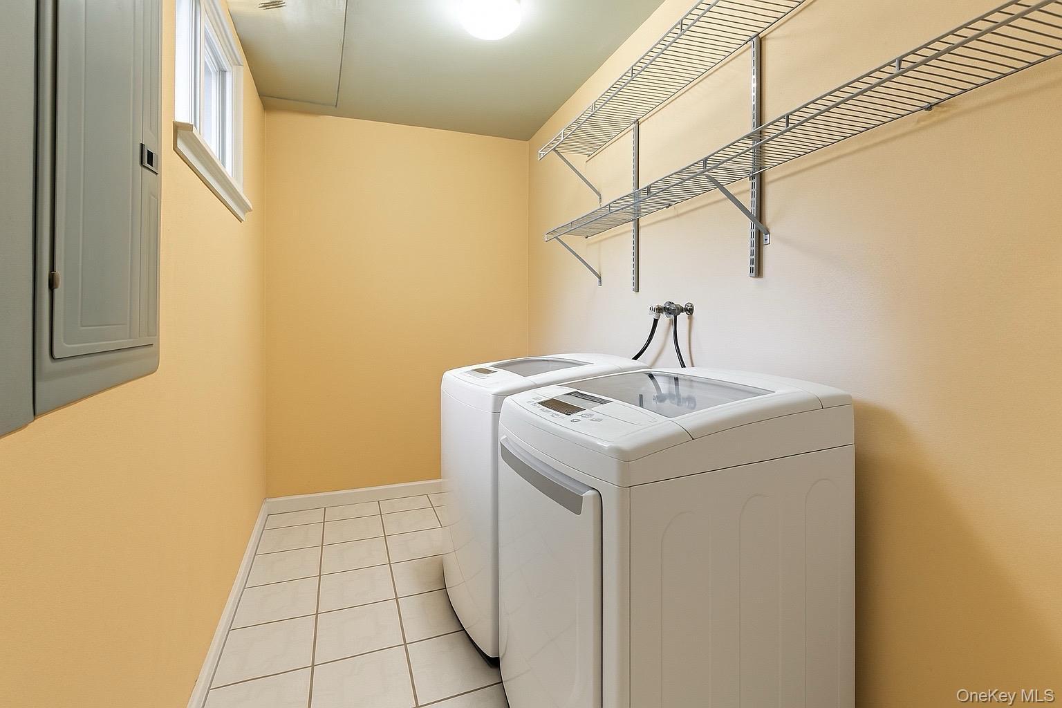 Single Family Tree  Suffolk County, NY 11722, MLS-897250-16