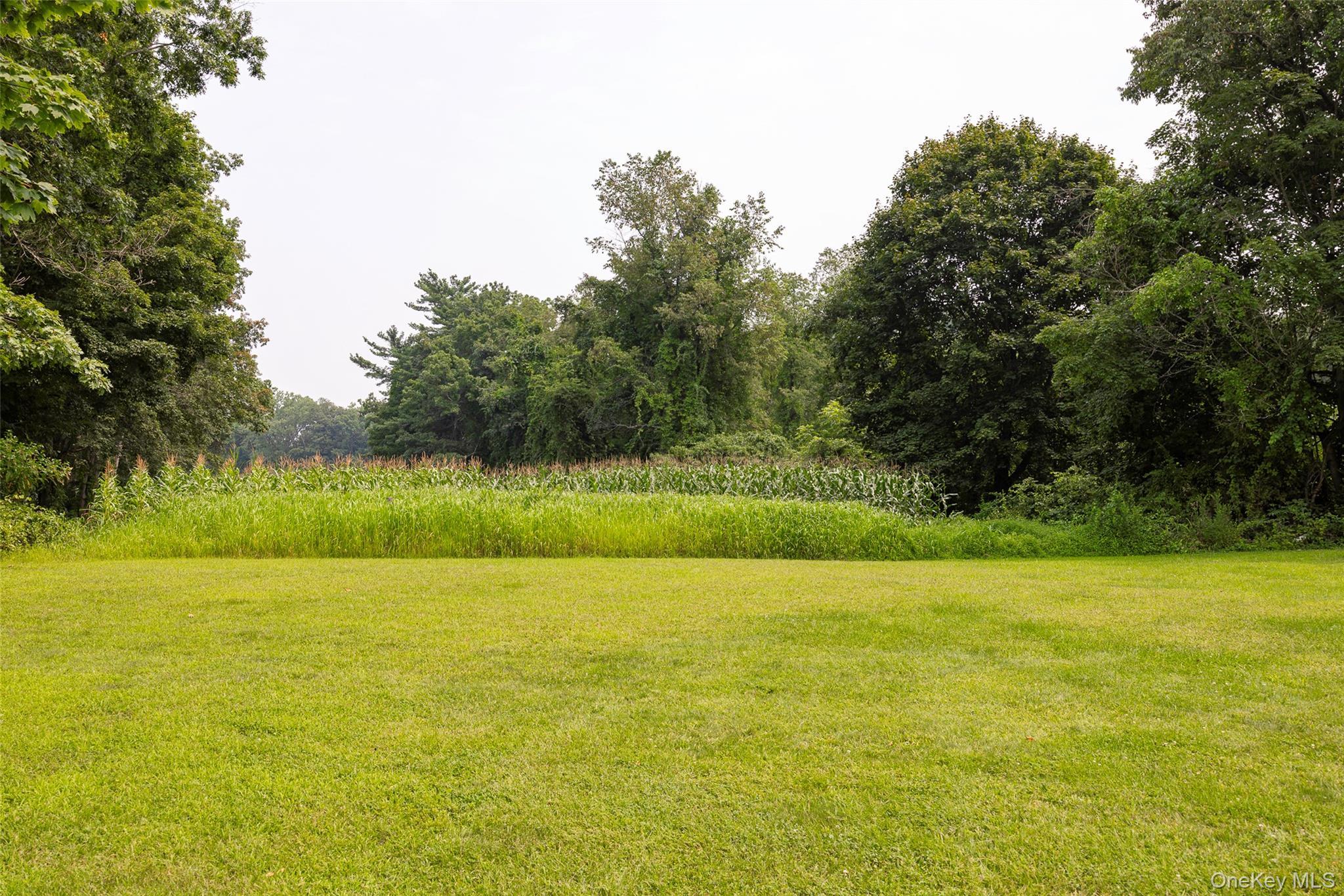 Single Family Ryan Dutchess County, NY 12567, MLS-897294-33