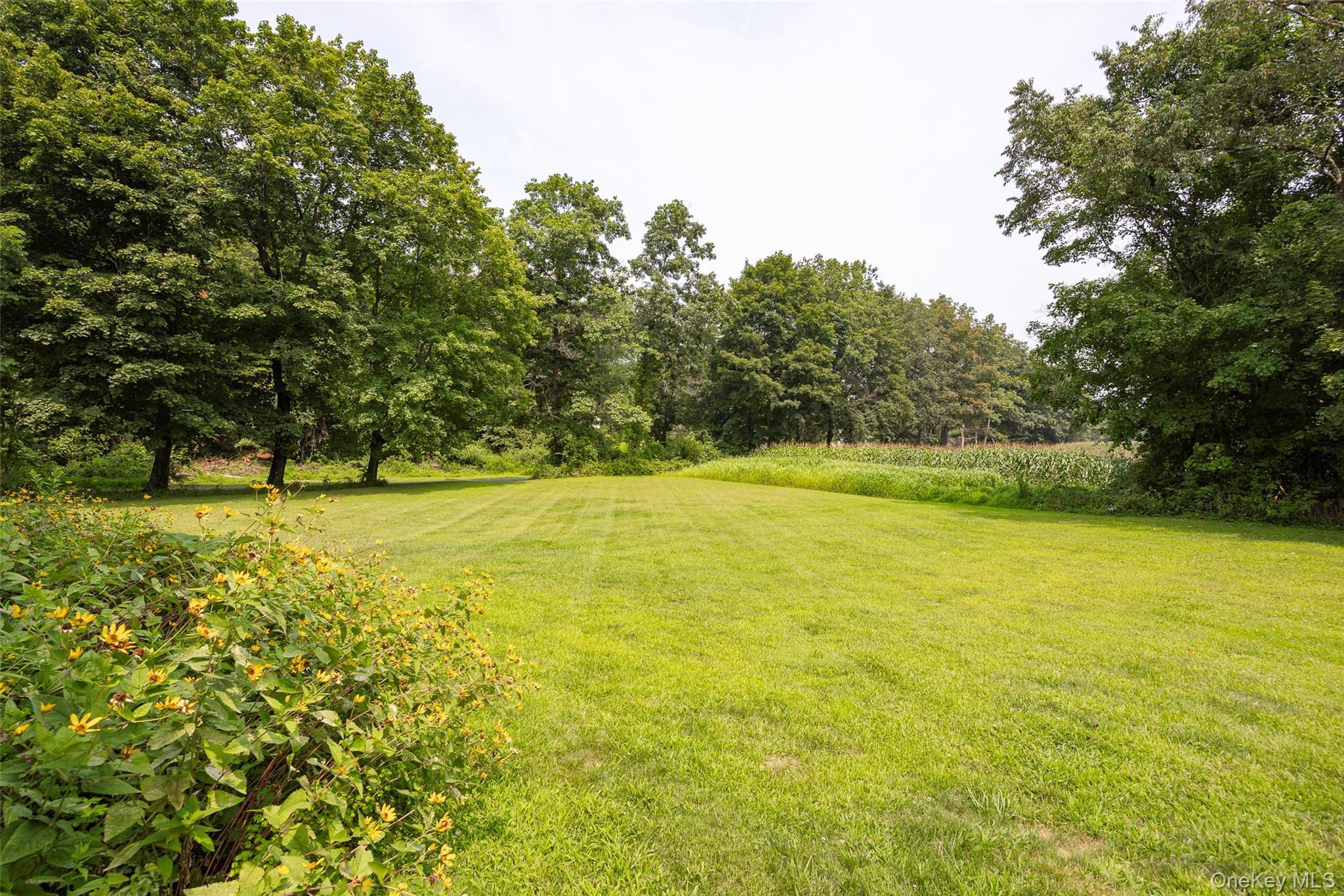 Single Family Ryan Dutchess County, NY 12567, MLS-897294-34