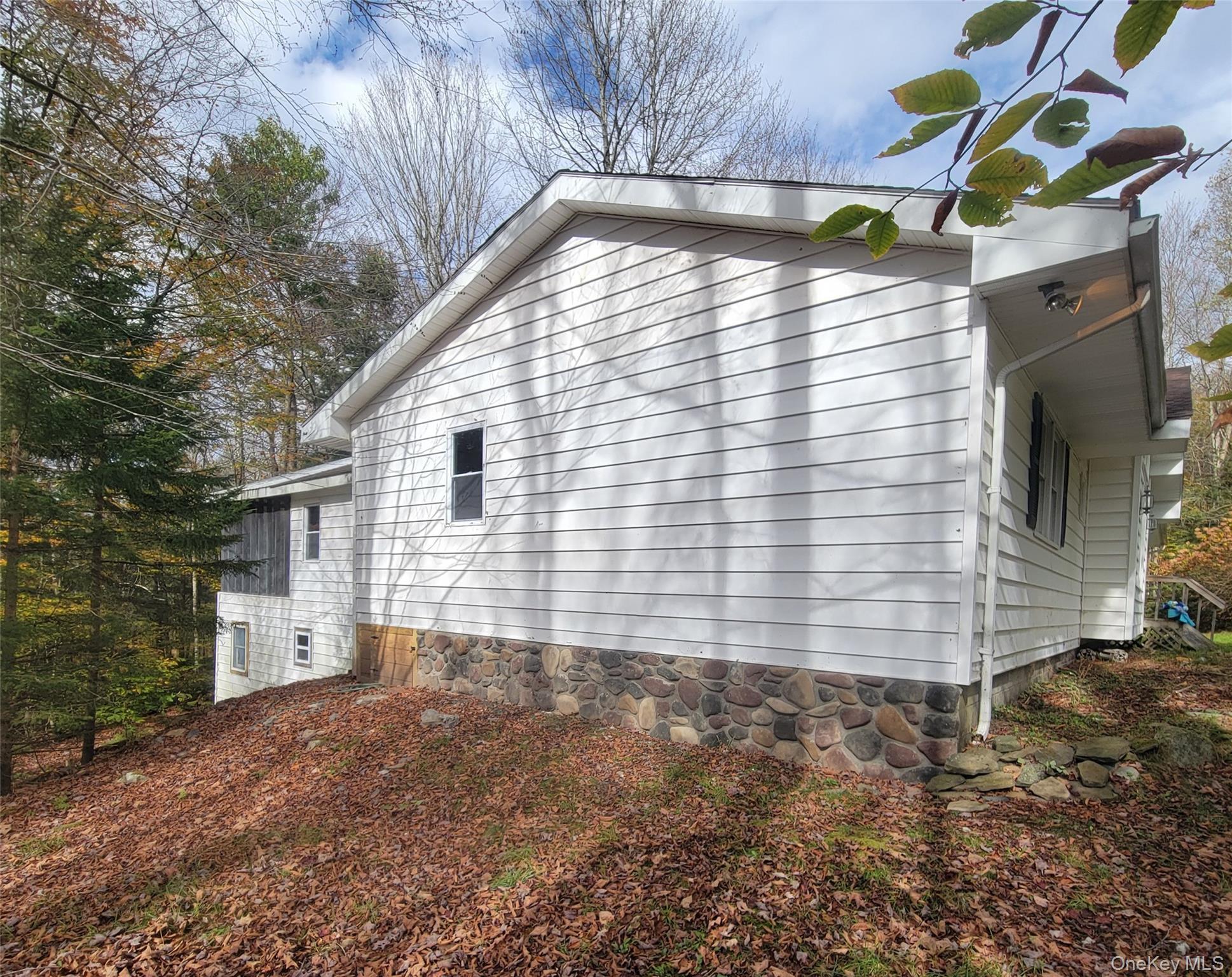 Single Family Browns Sullivan County, NY 12758, MLS-897423-2