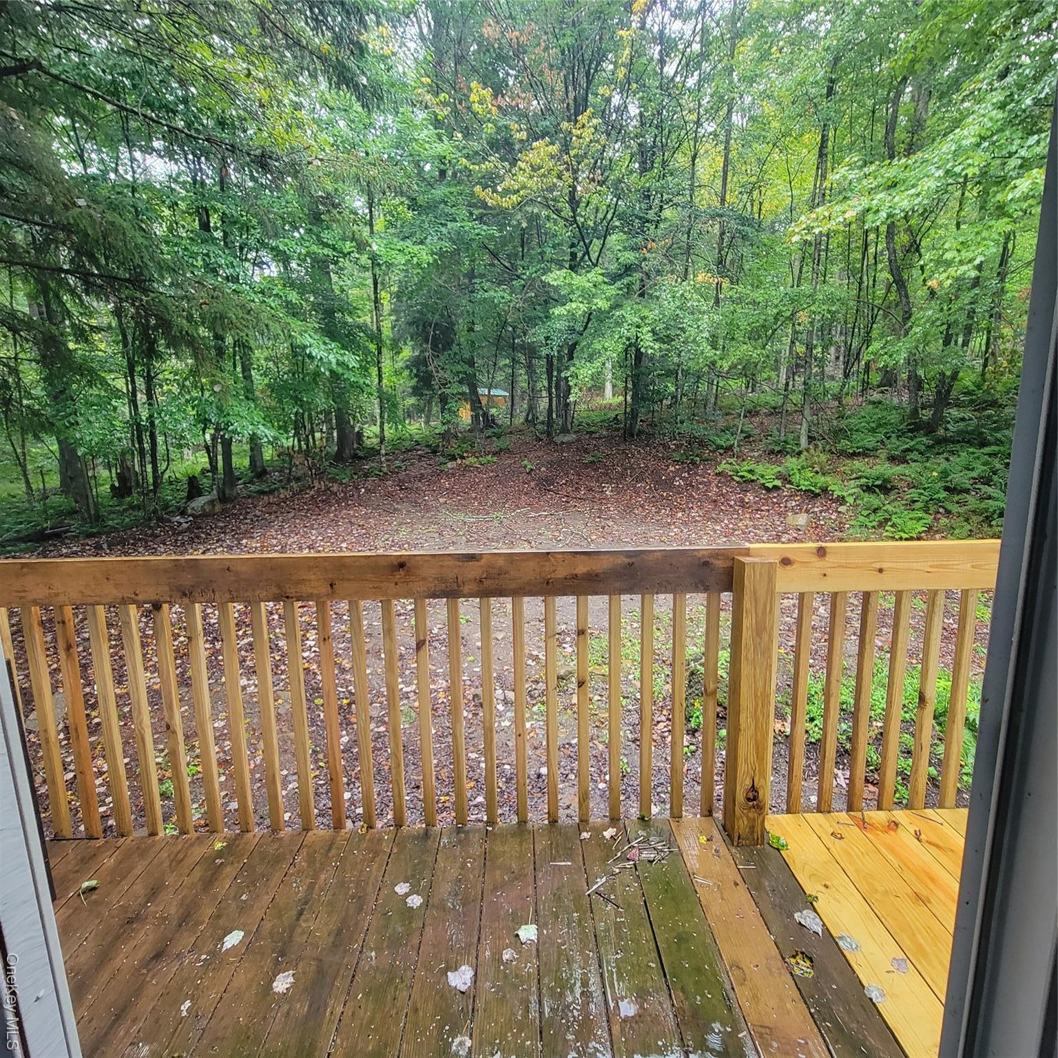 Single Family Browns Sullivan County, NY 12758, MLS-897423-27