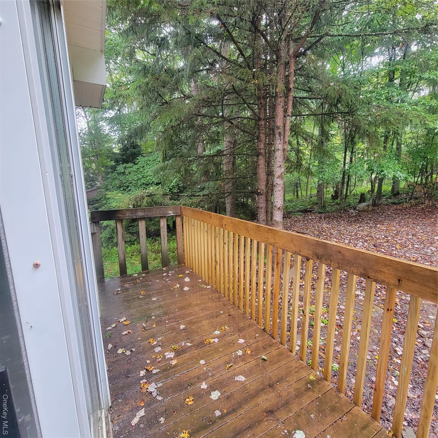 Single Family Browns  Sullivan County, NY 12758, MLS-897423-28