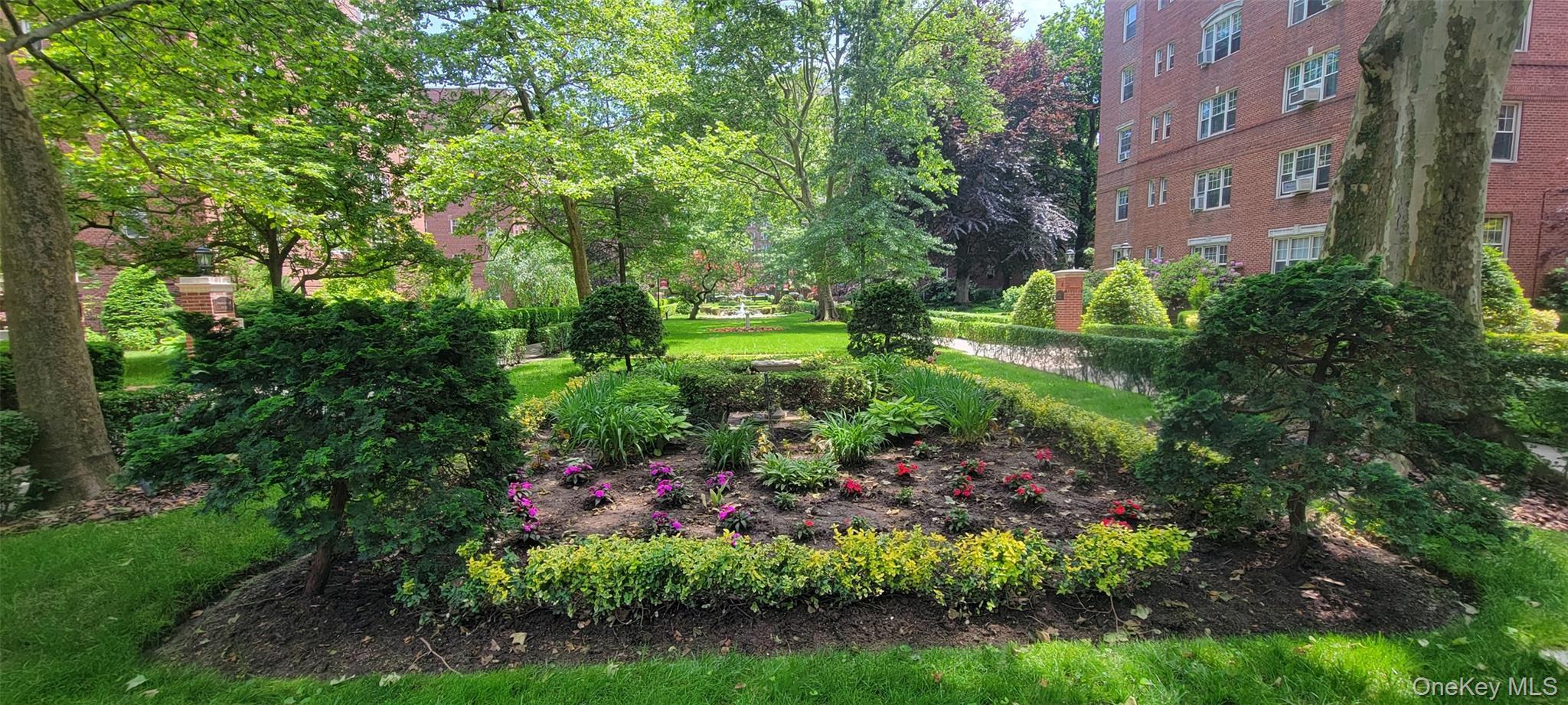 Coop 113th  Queens, NY 11375, MLS-897530-30