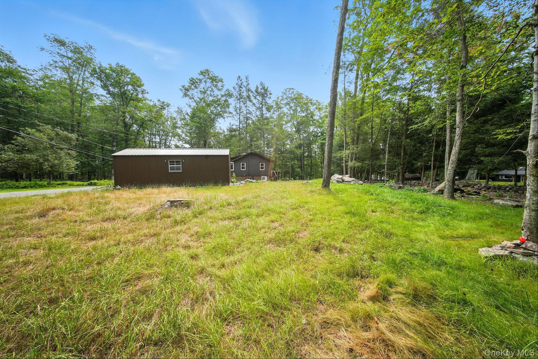 Single Family Adirondack Tr Tr Sullivan County, NY 12720, MLS-897721-22