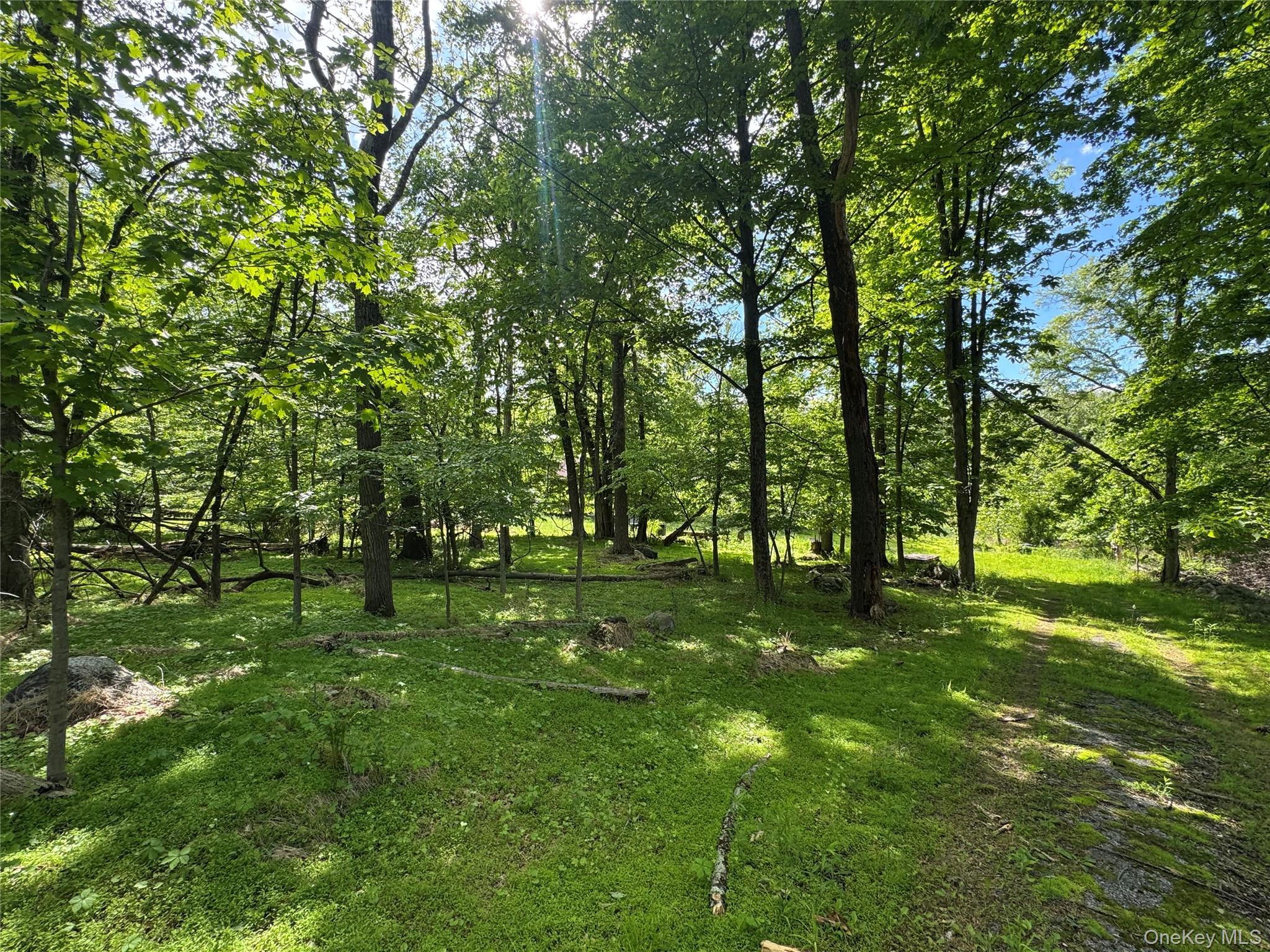 Single Family Union School  Orange County, NY 12549, MLS-897757-21