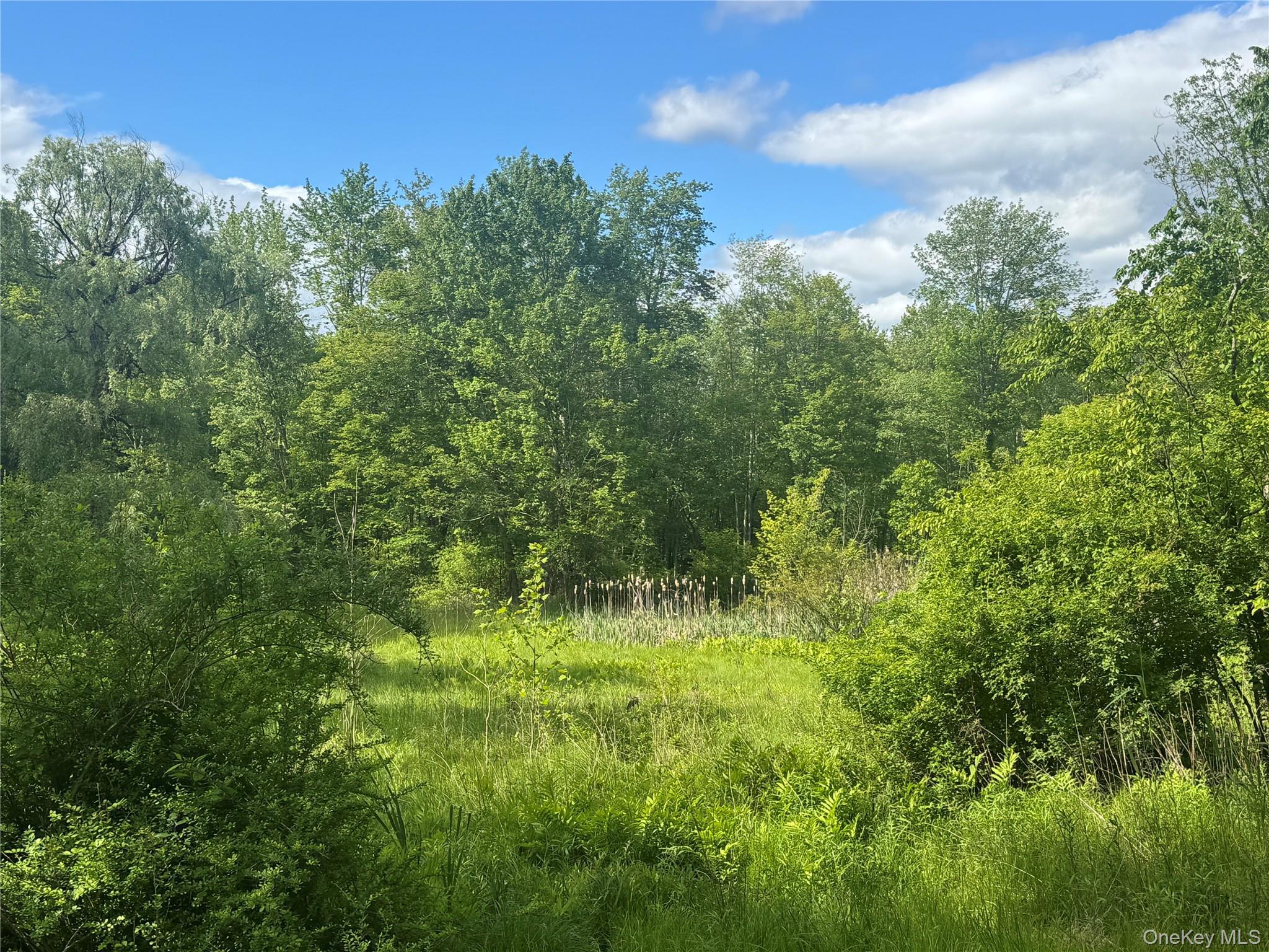 Single Family Union School  Orange County, NY 12549, MLS-897757-33