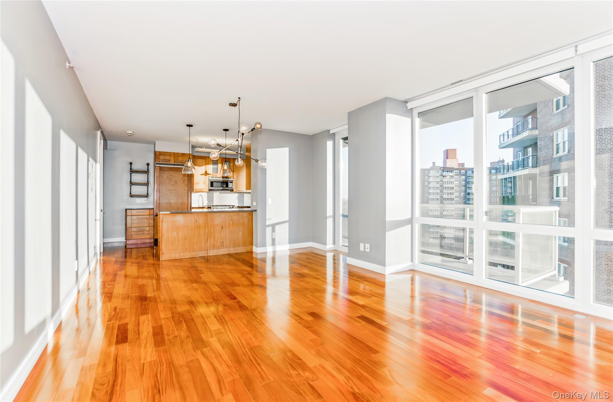Condo 237th  Bronx, NY 10463, MLS-897782-3