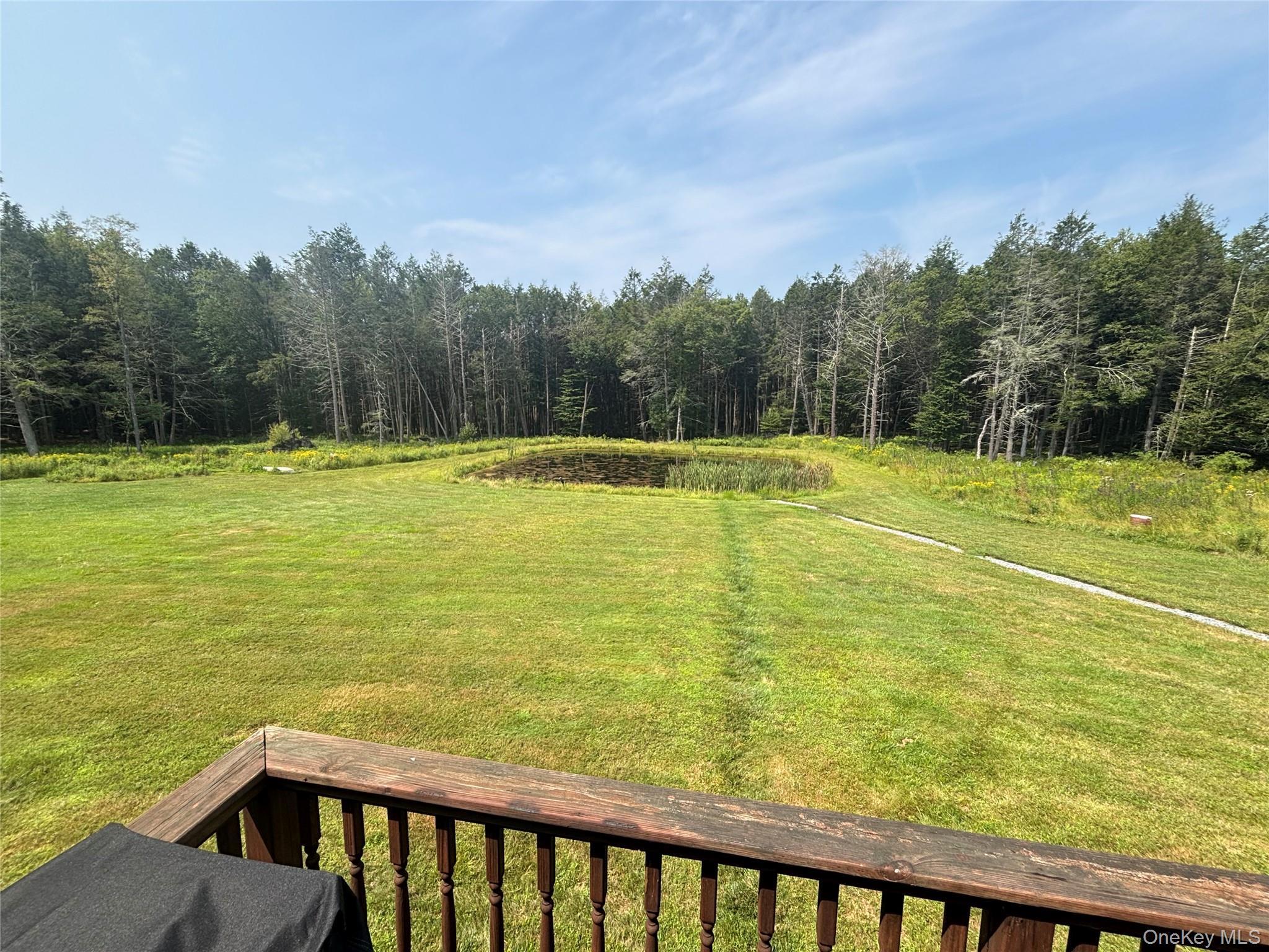 Single Family Hurd And Parks  Sullivan County, NY 12783, MLS-897807-27