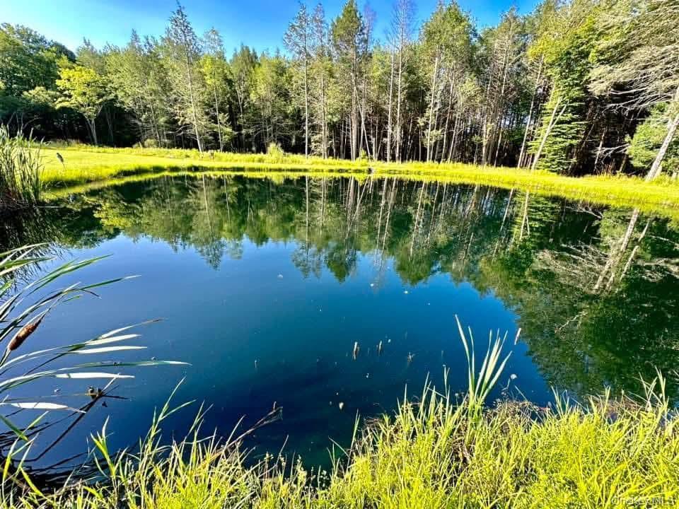 Single Family Hurd And Parks  Sullivan County, NY 12783, MLS-897807-5