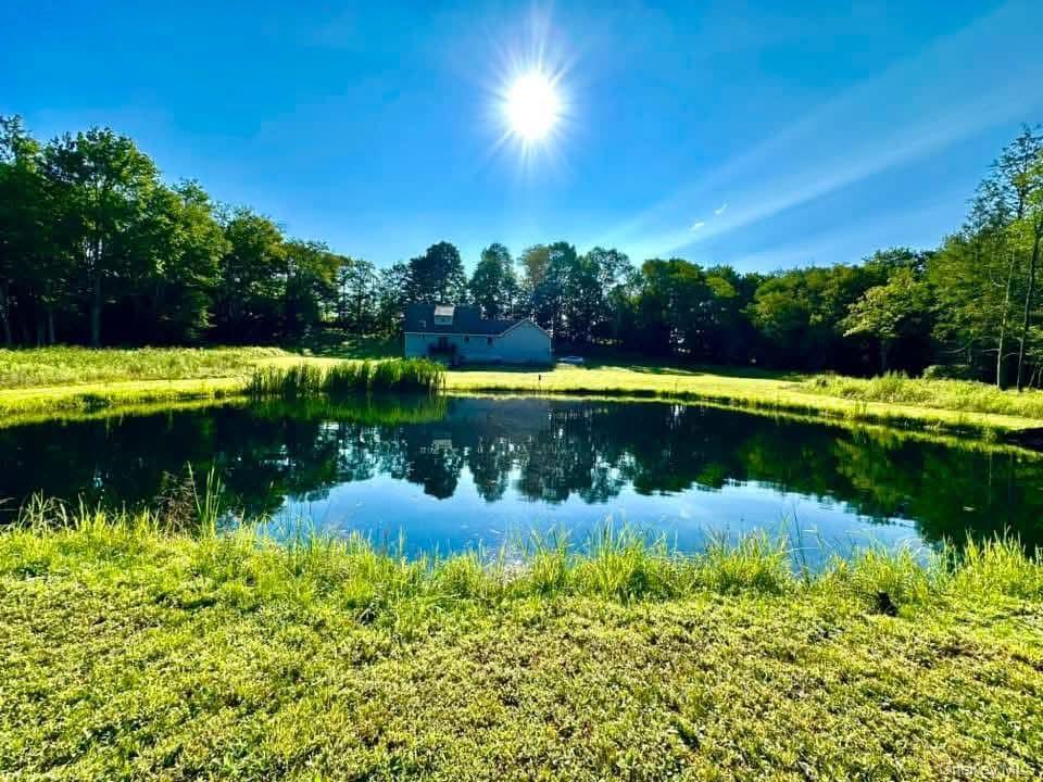 Single Family Hurd And Parks  Sullivan County, NY 12783, MLS-897807-6