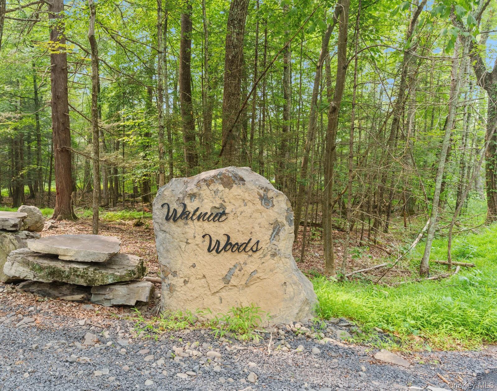 Single Family County Road 2  Ulster County, NY 12404, MLS-898273-34