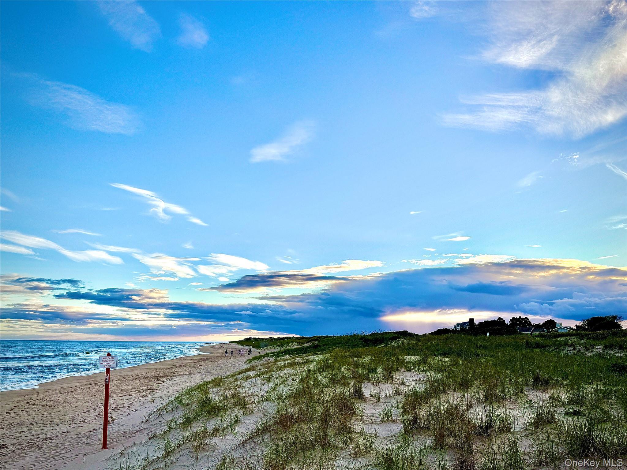Coop Ocean  Suffolk County, NY 11937, MLS-898300-21