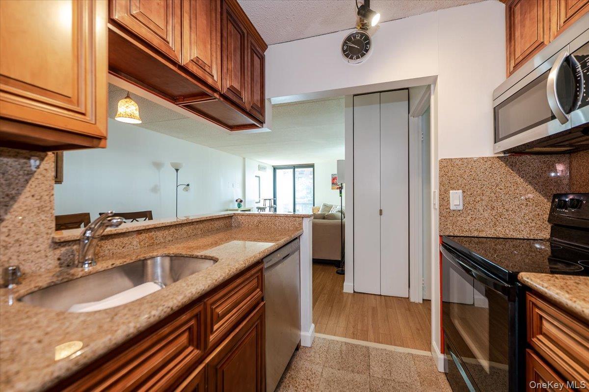 Condo Broadway Nassau County, NY 11561, MLS-898431-9