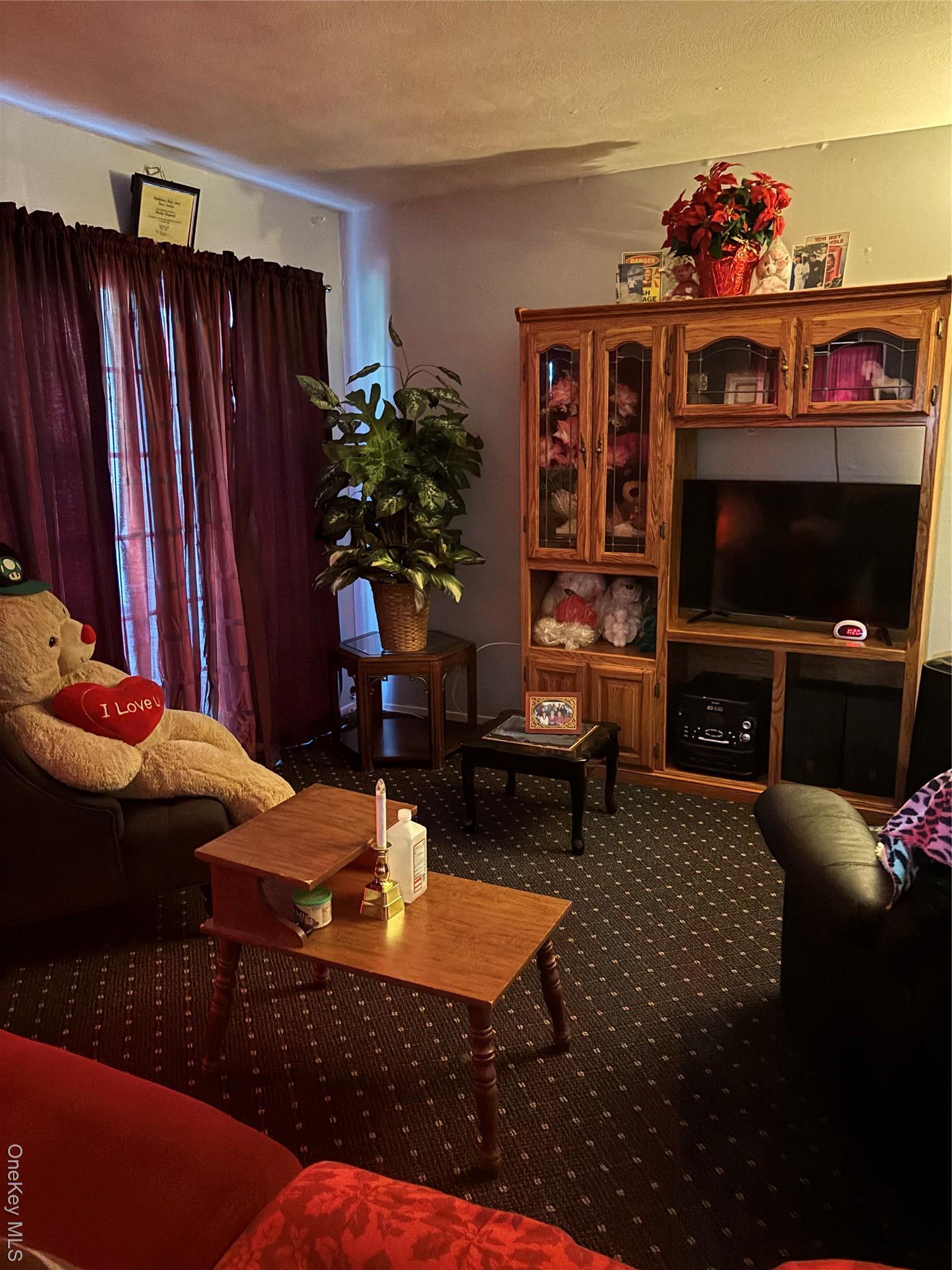 Single Family Windmill  Dutchess County, NY 12601, MLS-898486-10