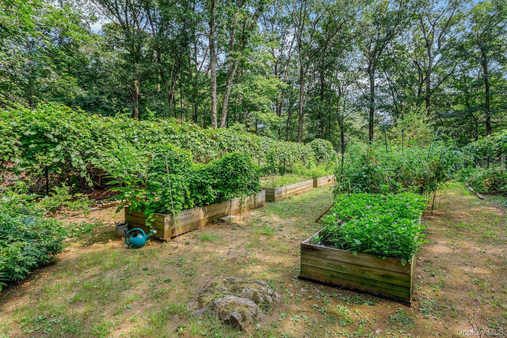 Single Family Furnace Dock  Westchester County, NY 10567, MLS-898520-33