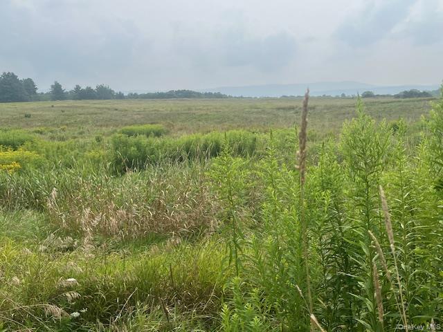 Single Family County Route 7 Columbia County, NY 12502, MLS-898690-24