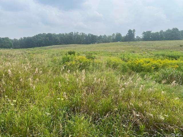 Single Family County Route 7 Columbia County, NY 12502, MLS-898690-25