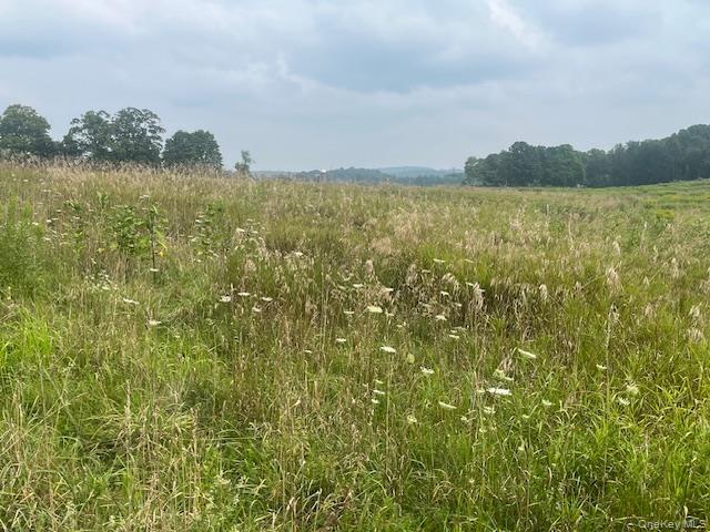 Single Family County Route 7 Columbia County, NY 12502, MLS-898690-26