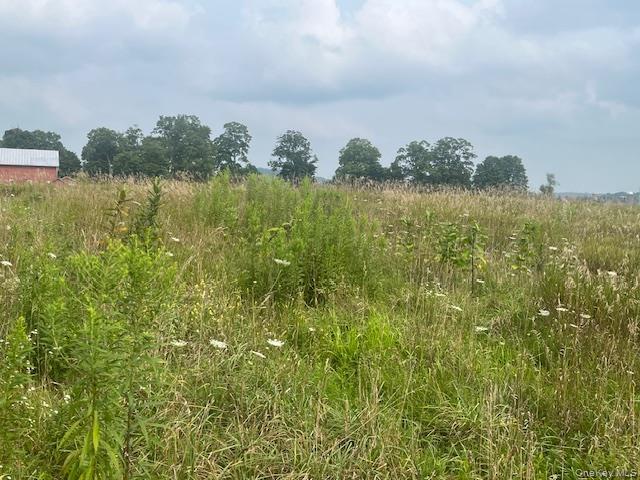 Single Family County Route 7 Columbia County, NY 12502, MLS-898690-27