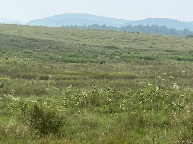 Single Family County Route 7 Columbia County, NY 12502, MLS-898690-8