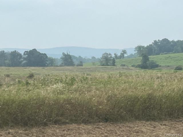 Single Family County Route 7 Columbia County, NY 12502, MLS-898690-9